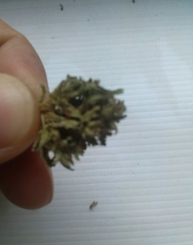 20180604_184308.jpg