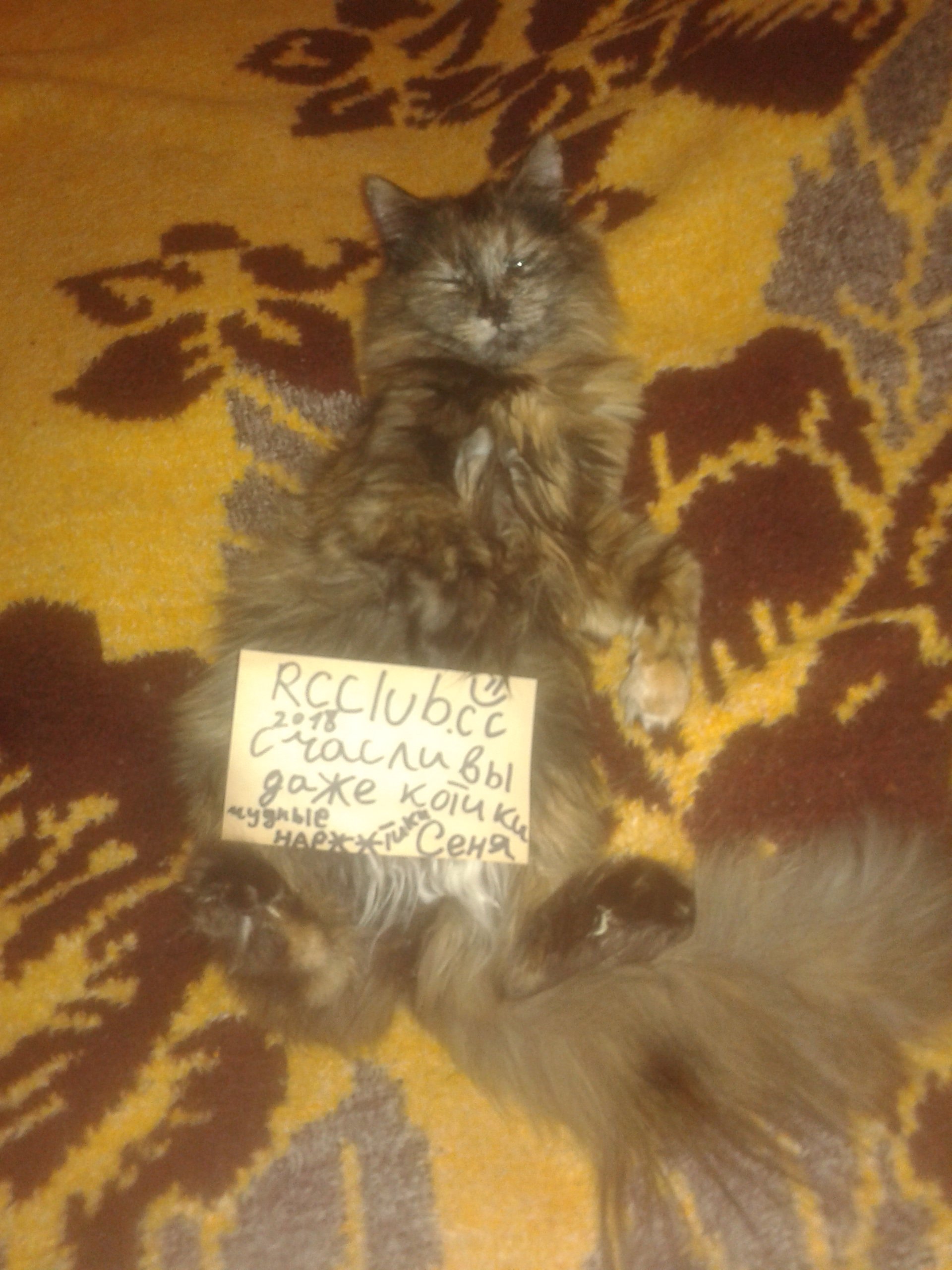 20180605_041322.jpg