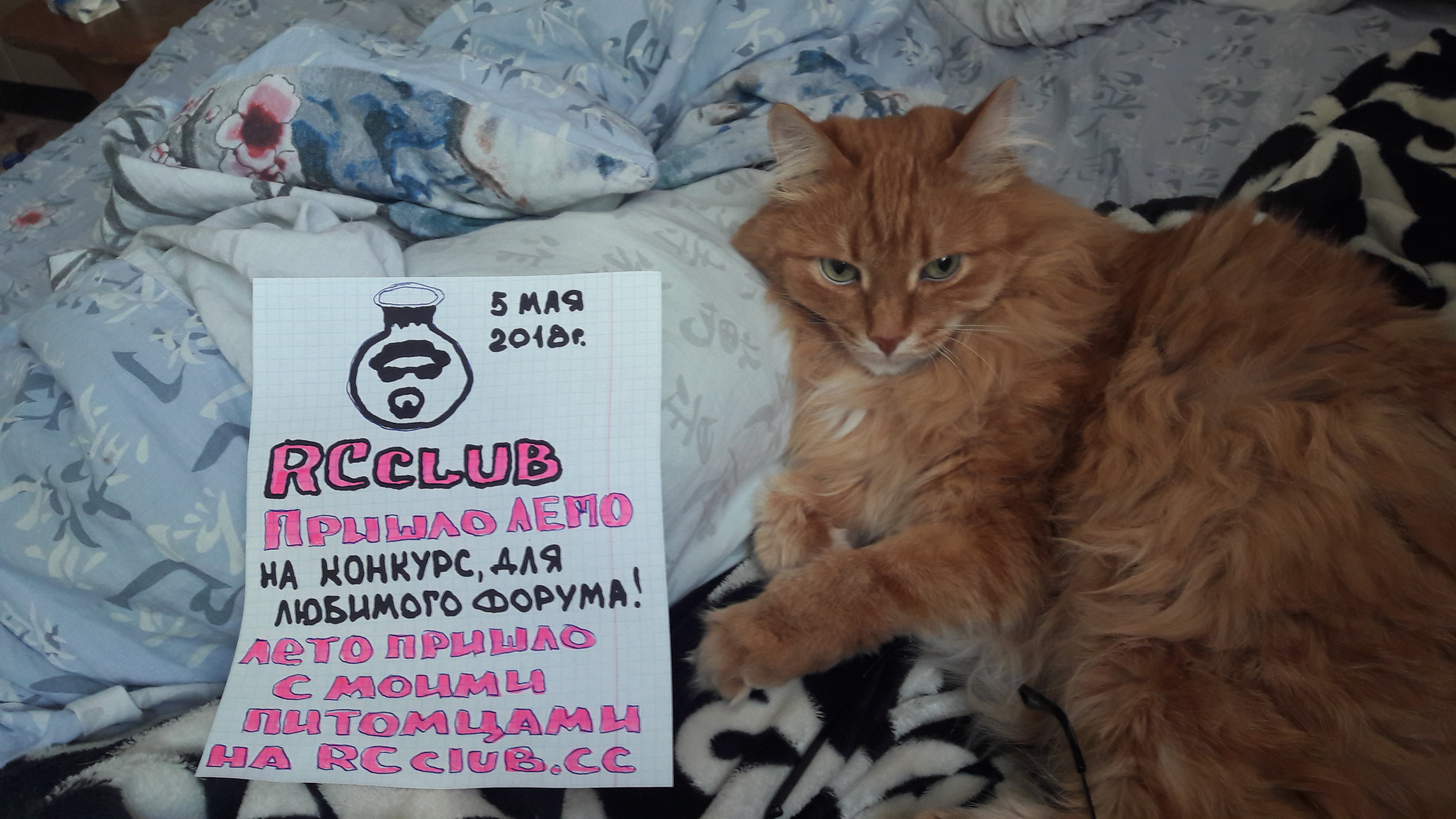 20180605_113849.jpg