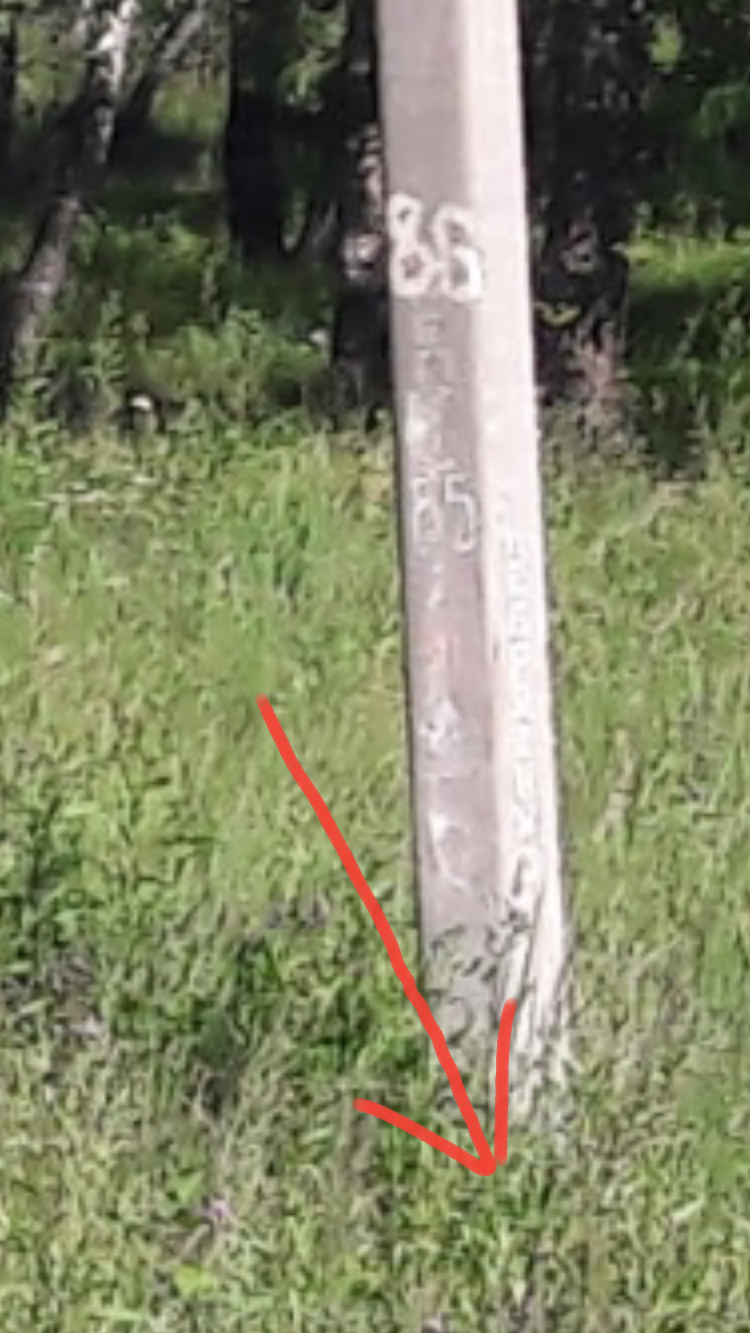 20180723_130932.png
