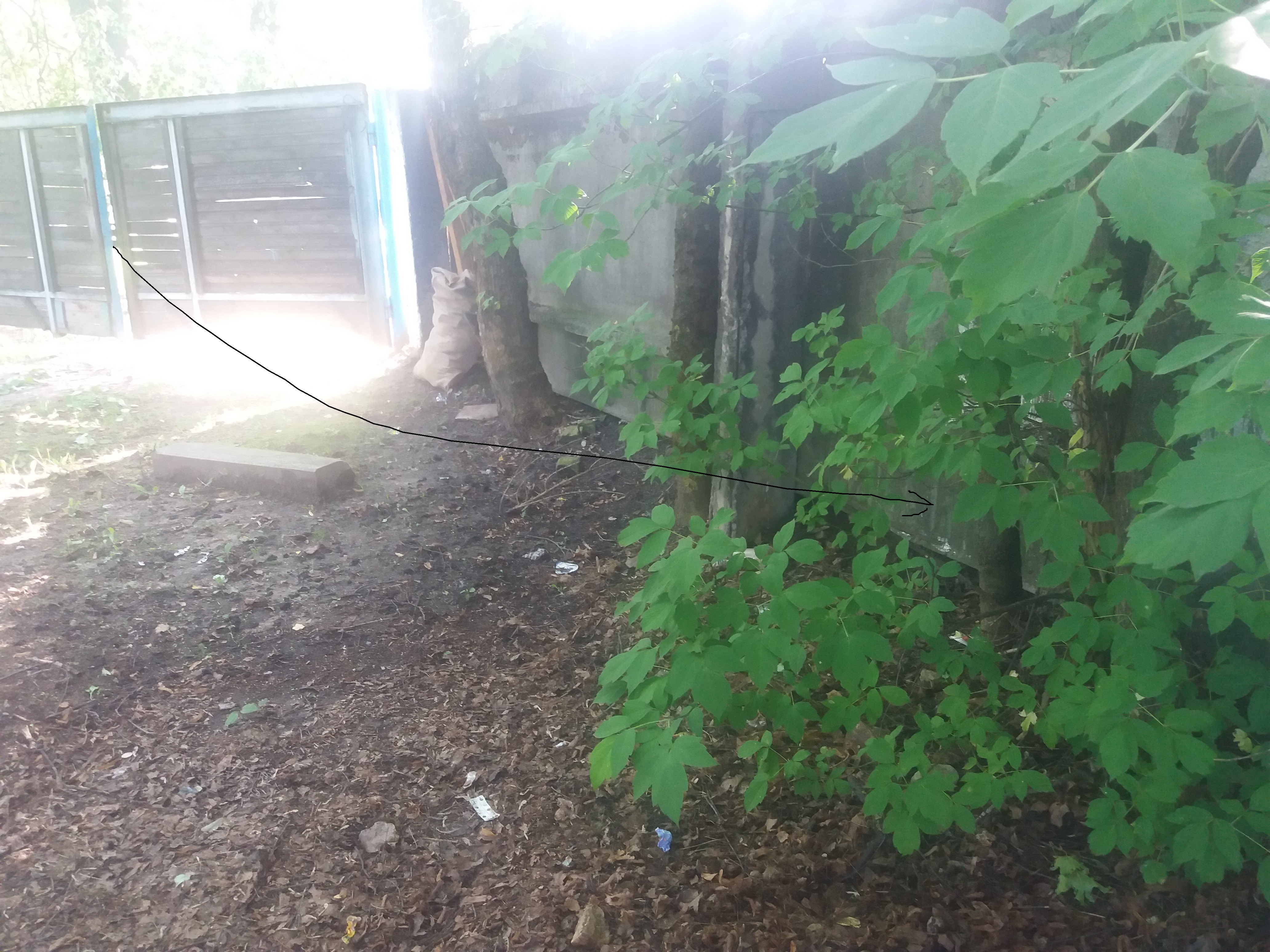 20180727_092213.jpg