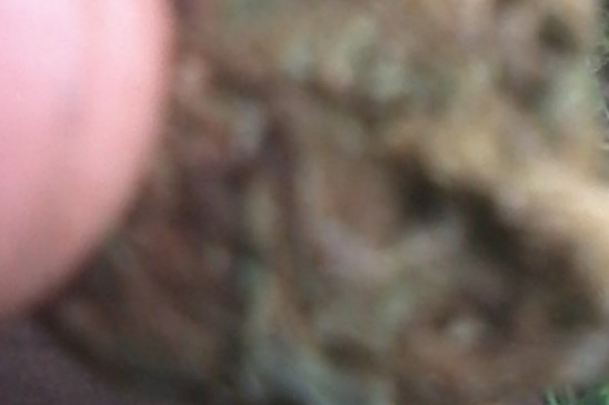 20180822_191253.jpg