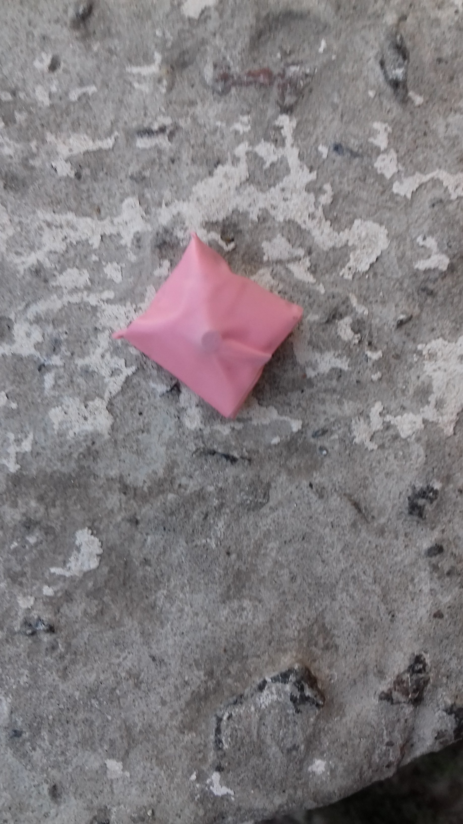20180922_073516.jpg