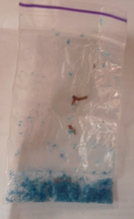 2018226090149.jpg