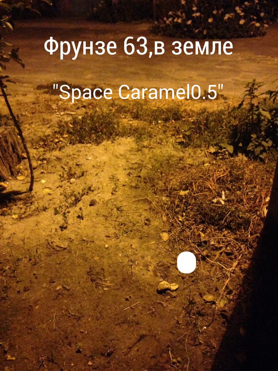 2019-01-12-18-11-39.jpg