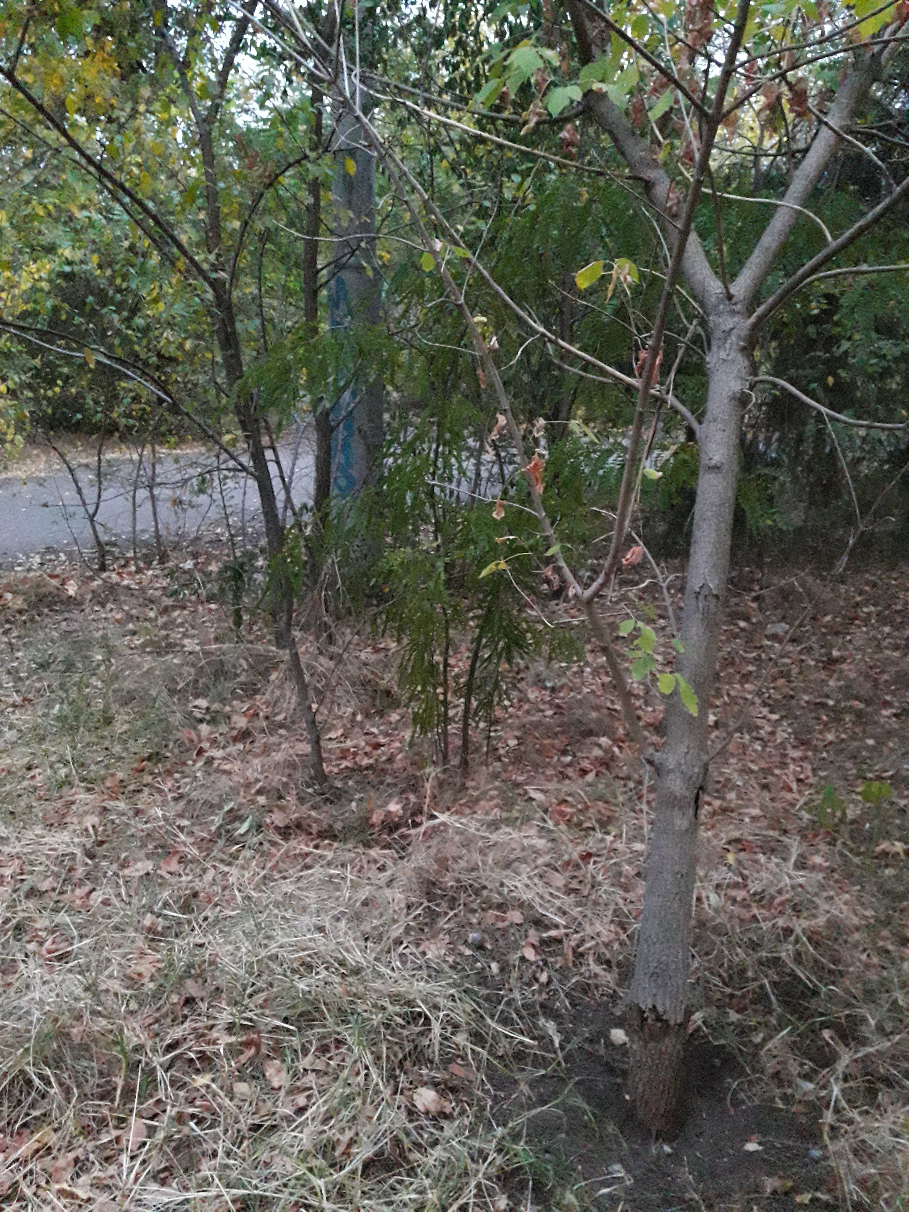 20190926_063552.jpg