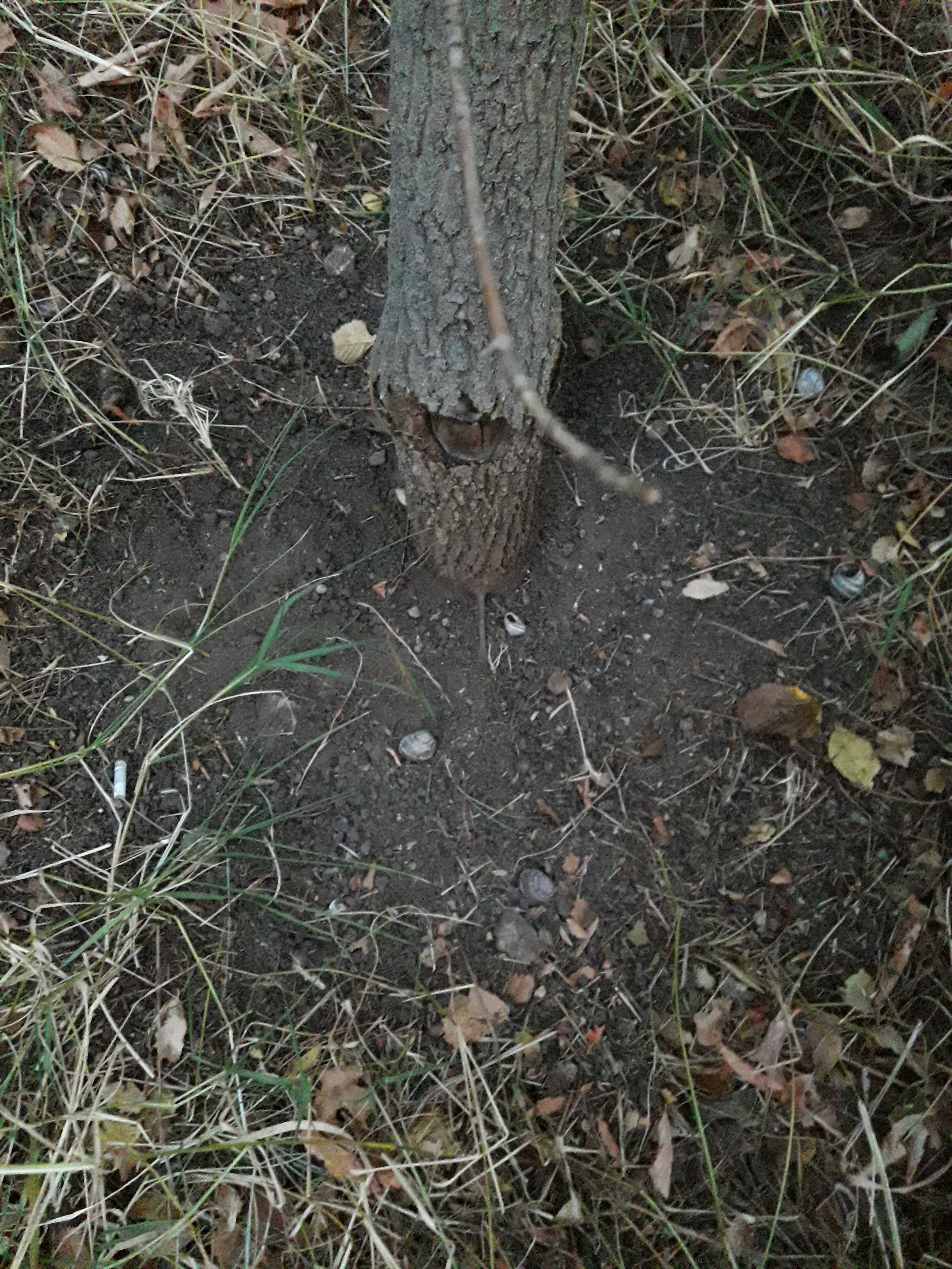 20190926_063603.jpg