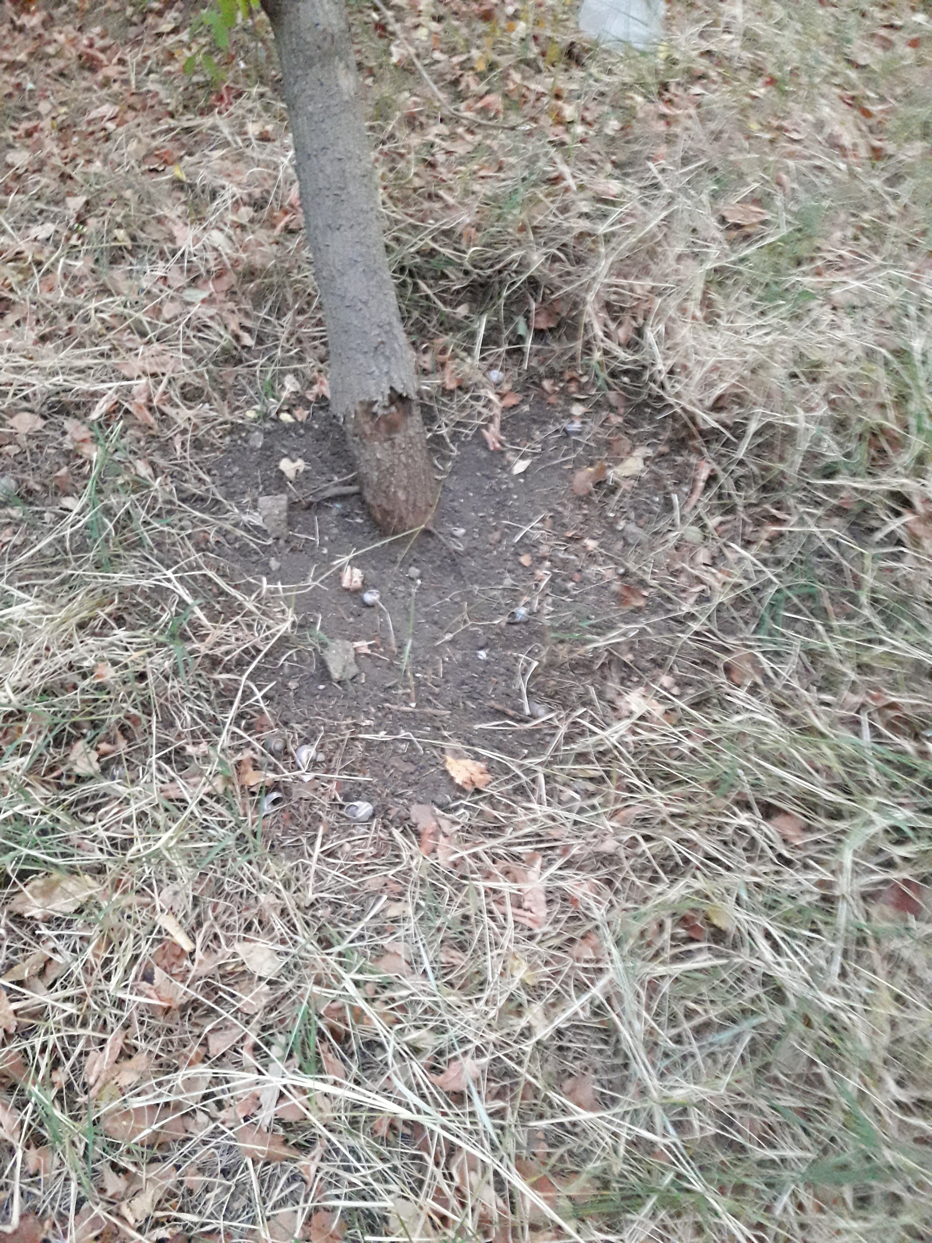 20190926_064419.jpg