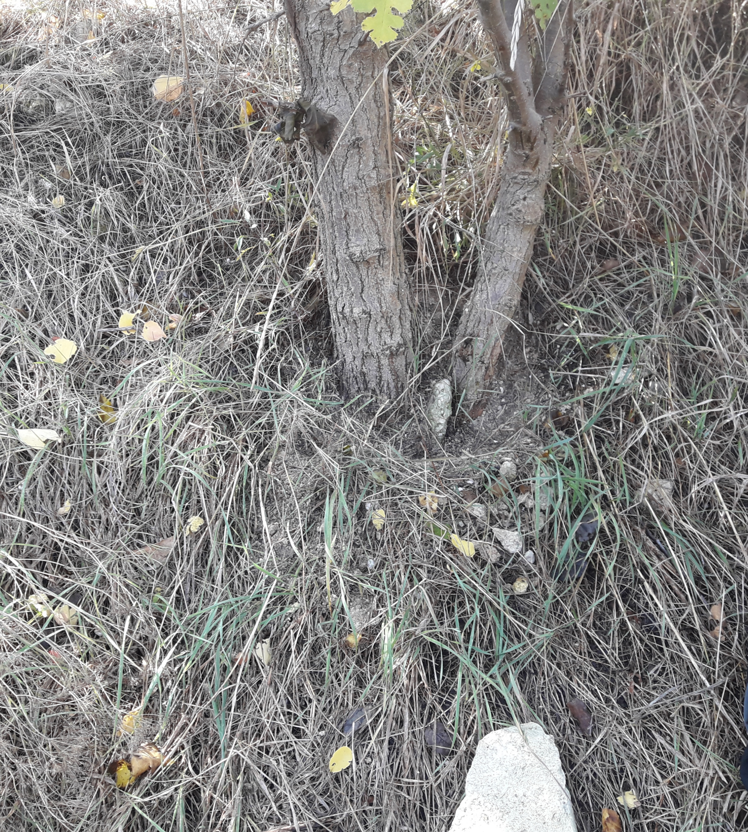 20191012_161108.jpg