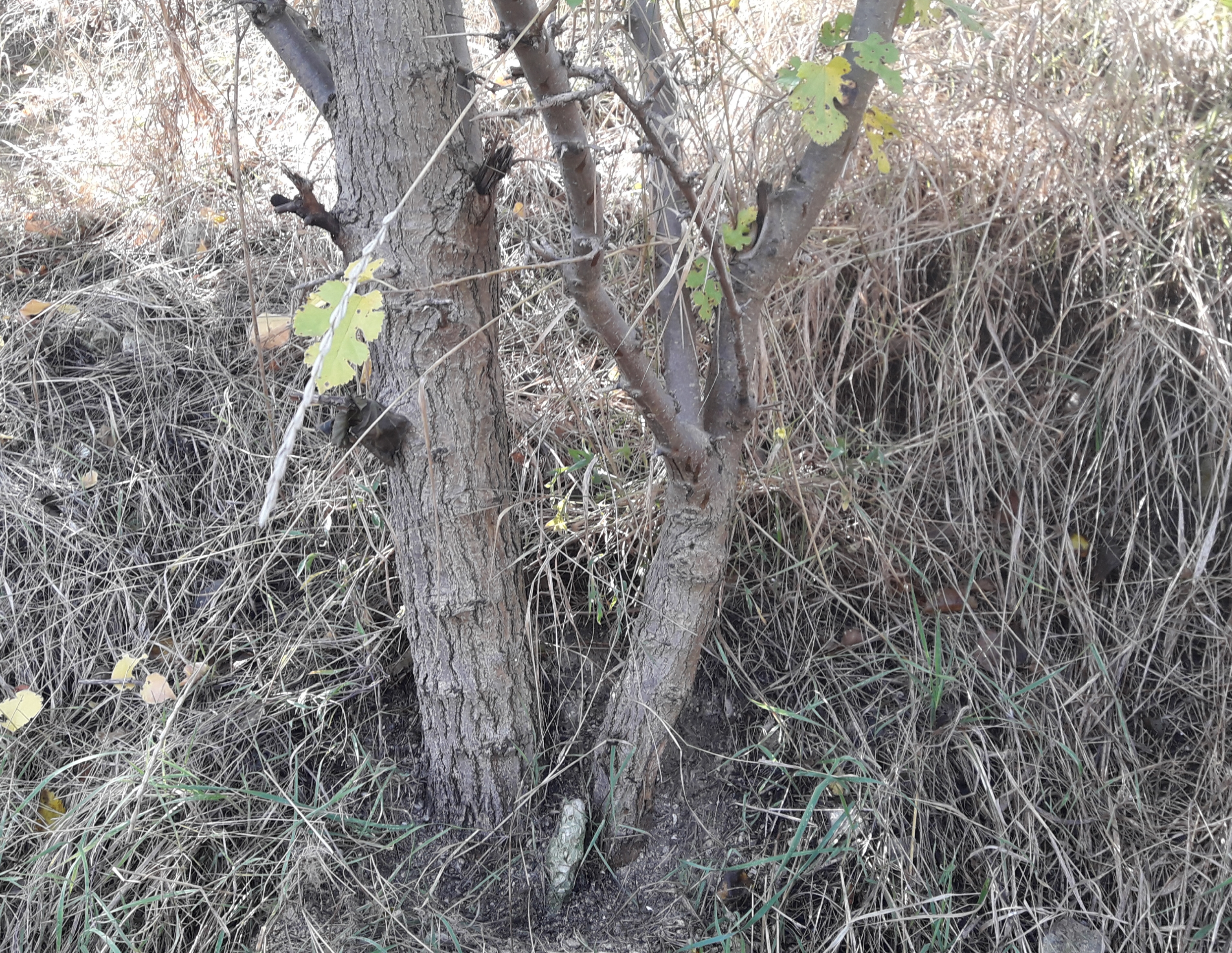 20191012_161422.jpg