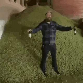 20200520_155123.gif