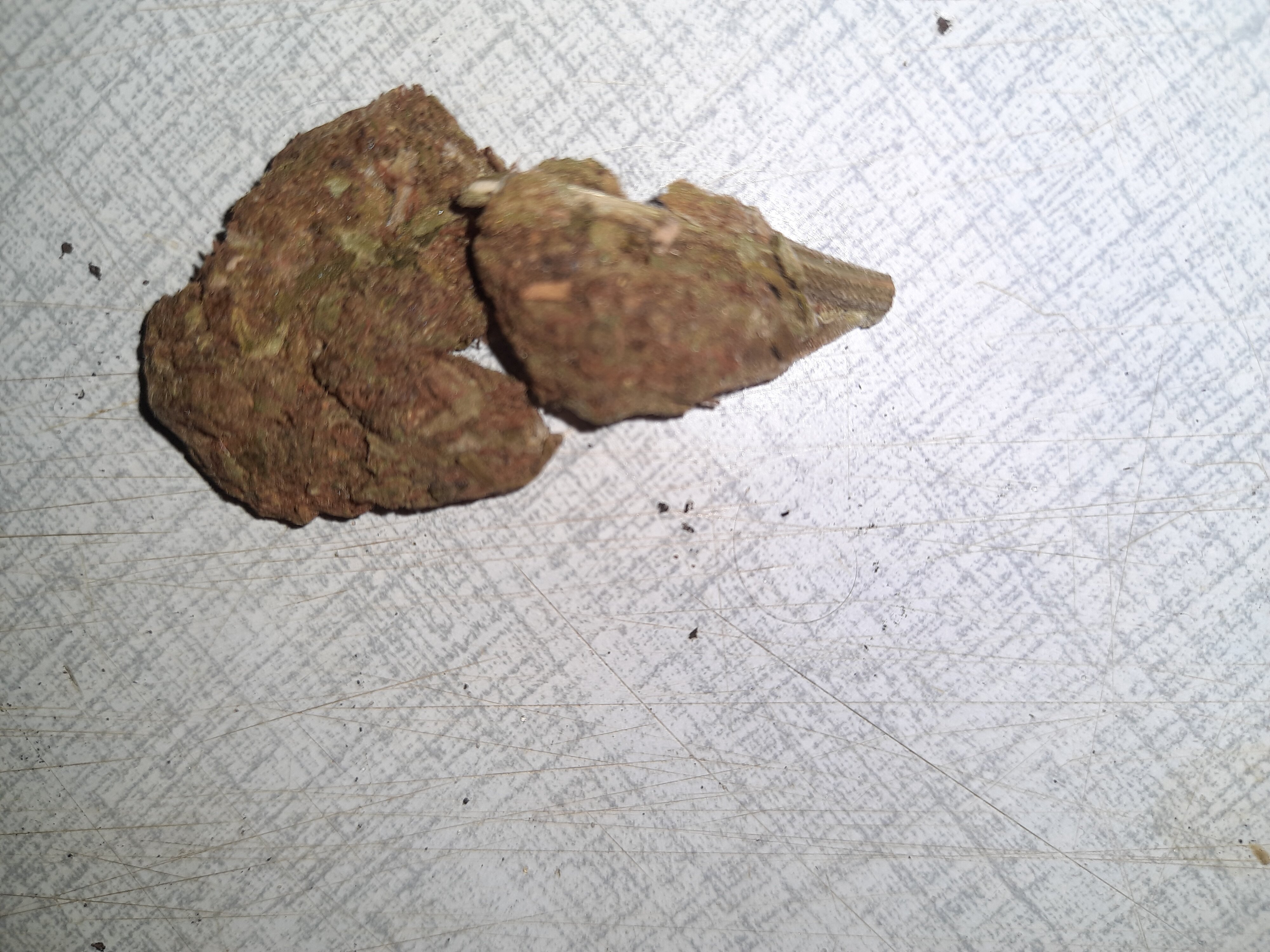 20200930_013003.jpg