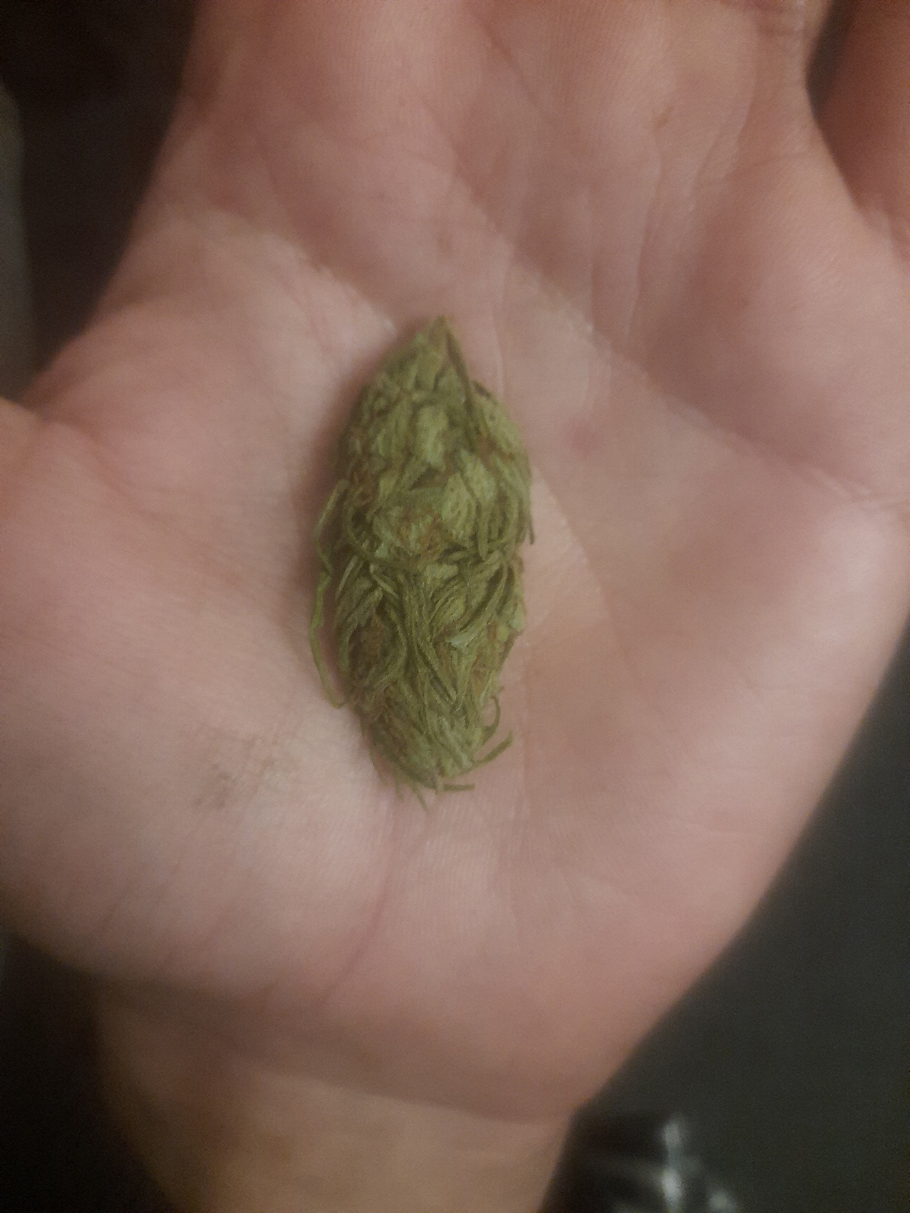 20201113_202948.jpg
