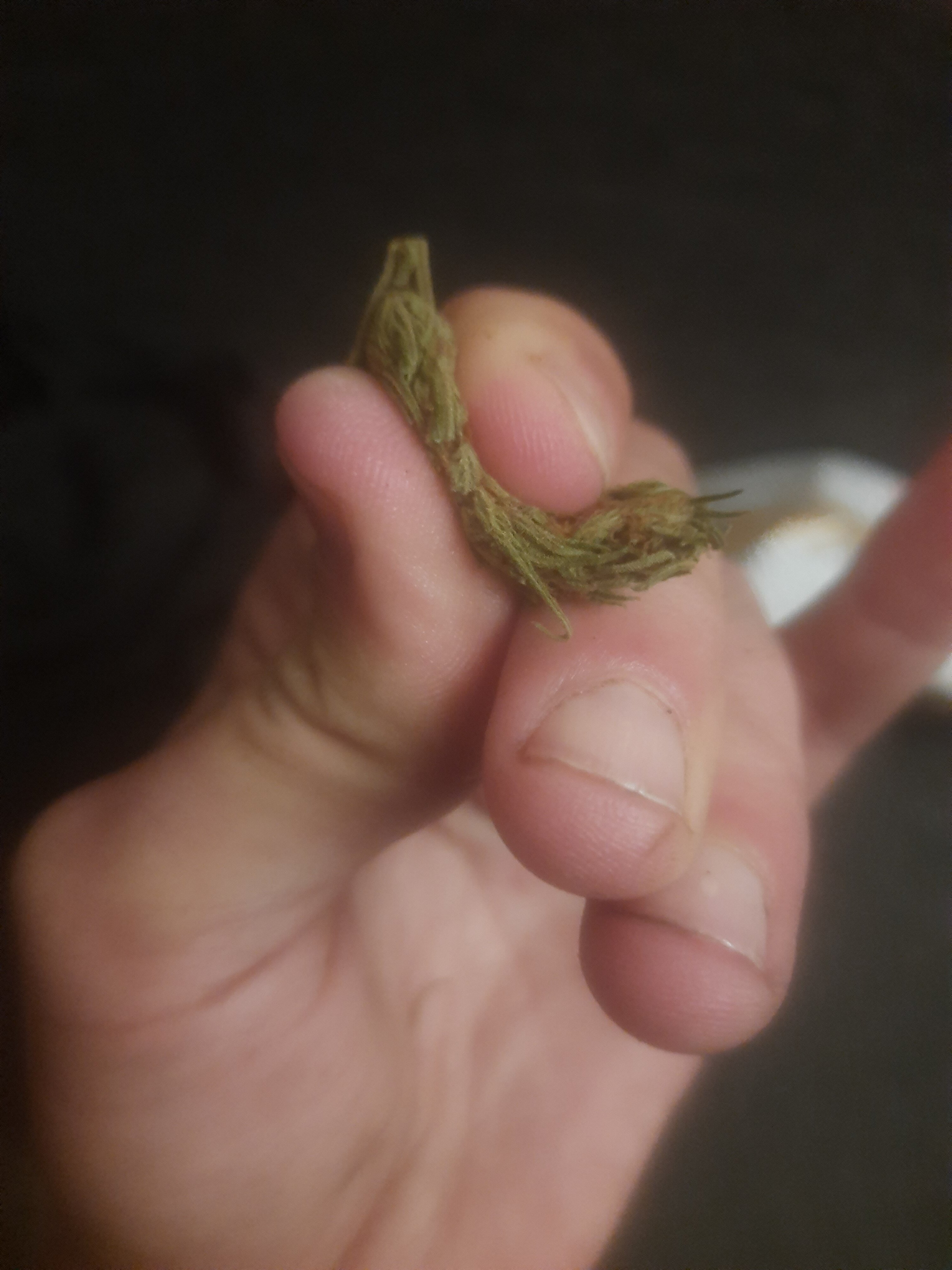 20201113_203010.jpg