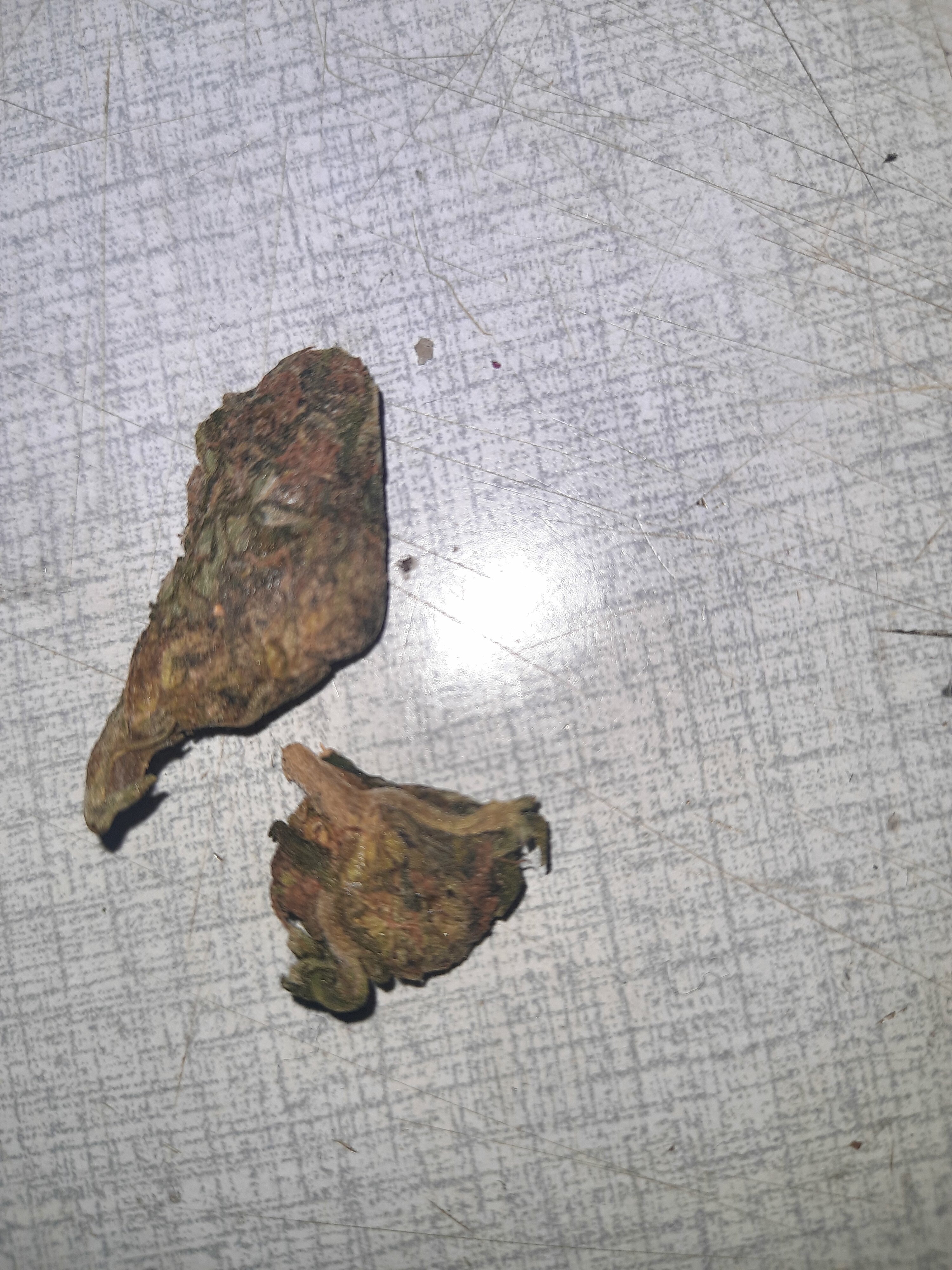 20201202_001316.jpg