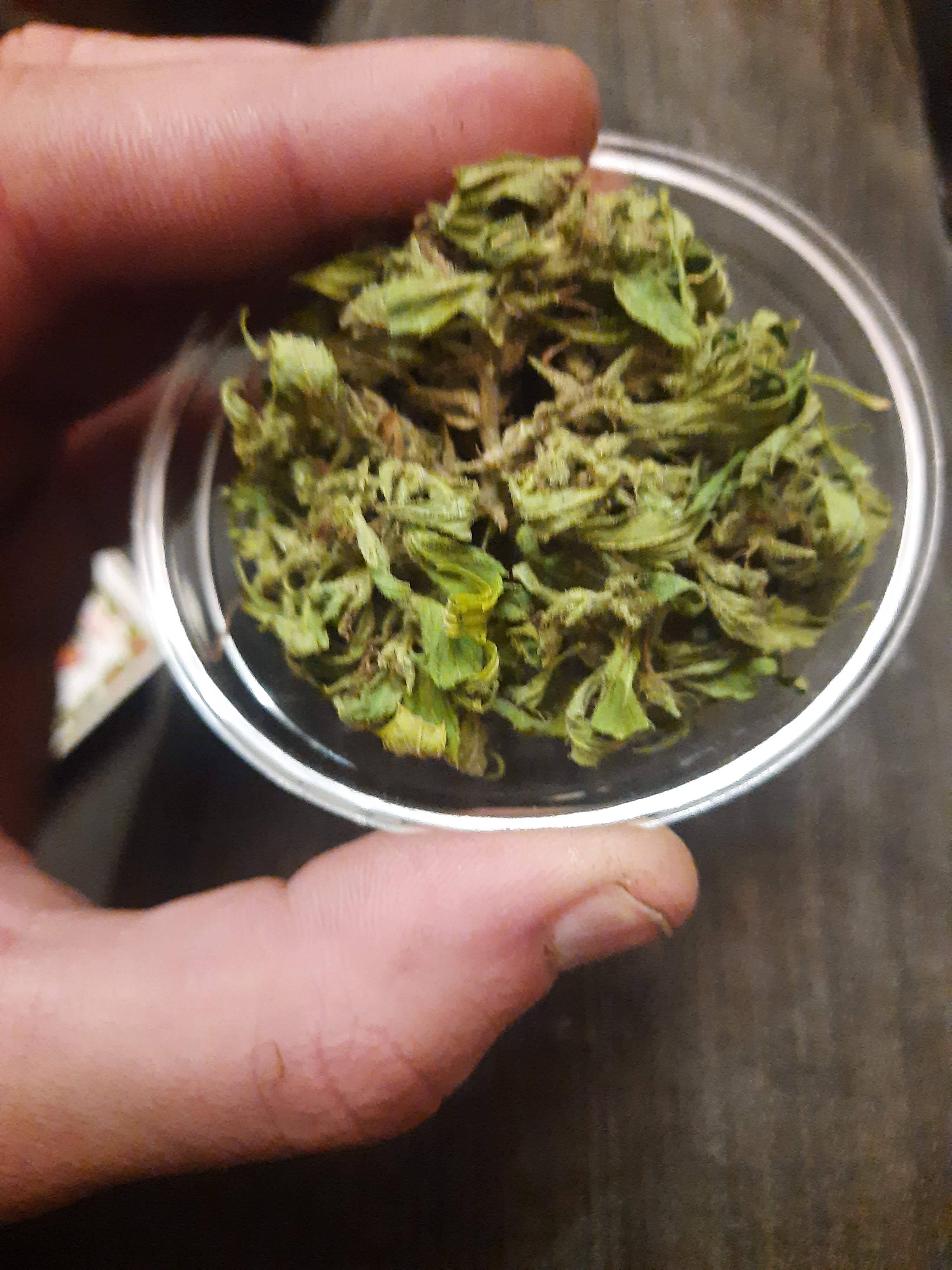 20201209_183059.jpg