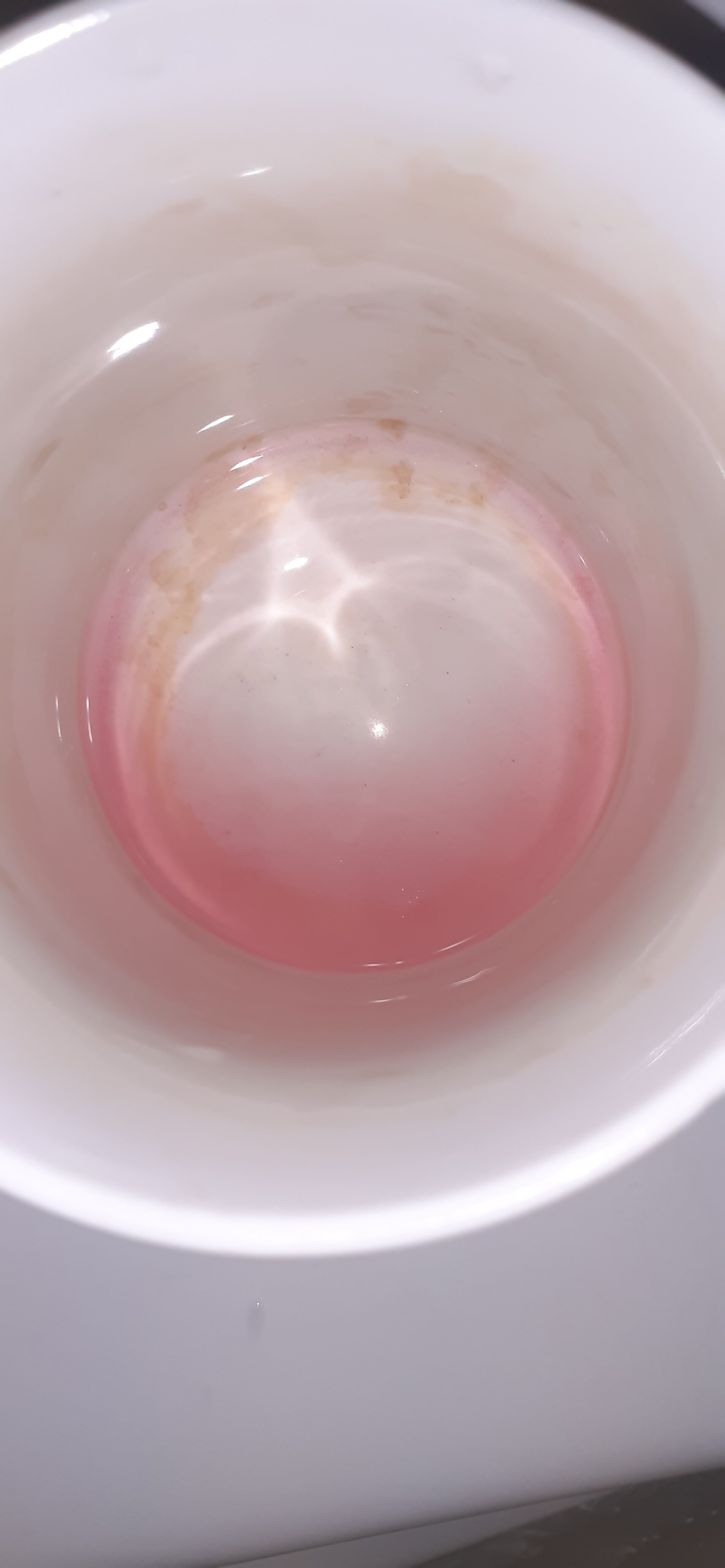 20210428_174911-jpg.62614