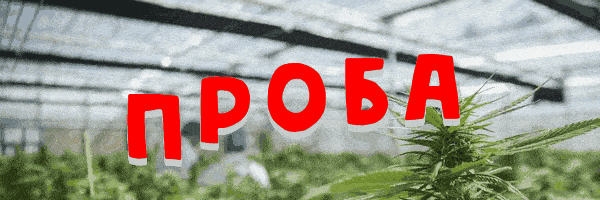 20210514_001454.gif