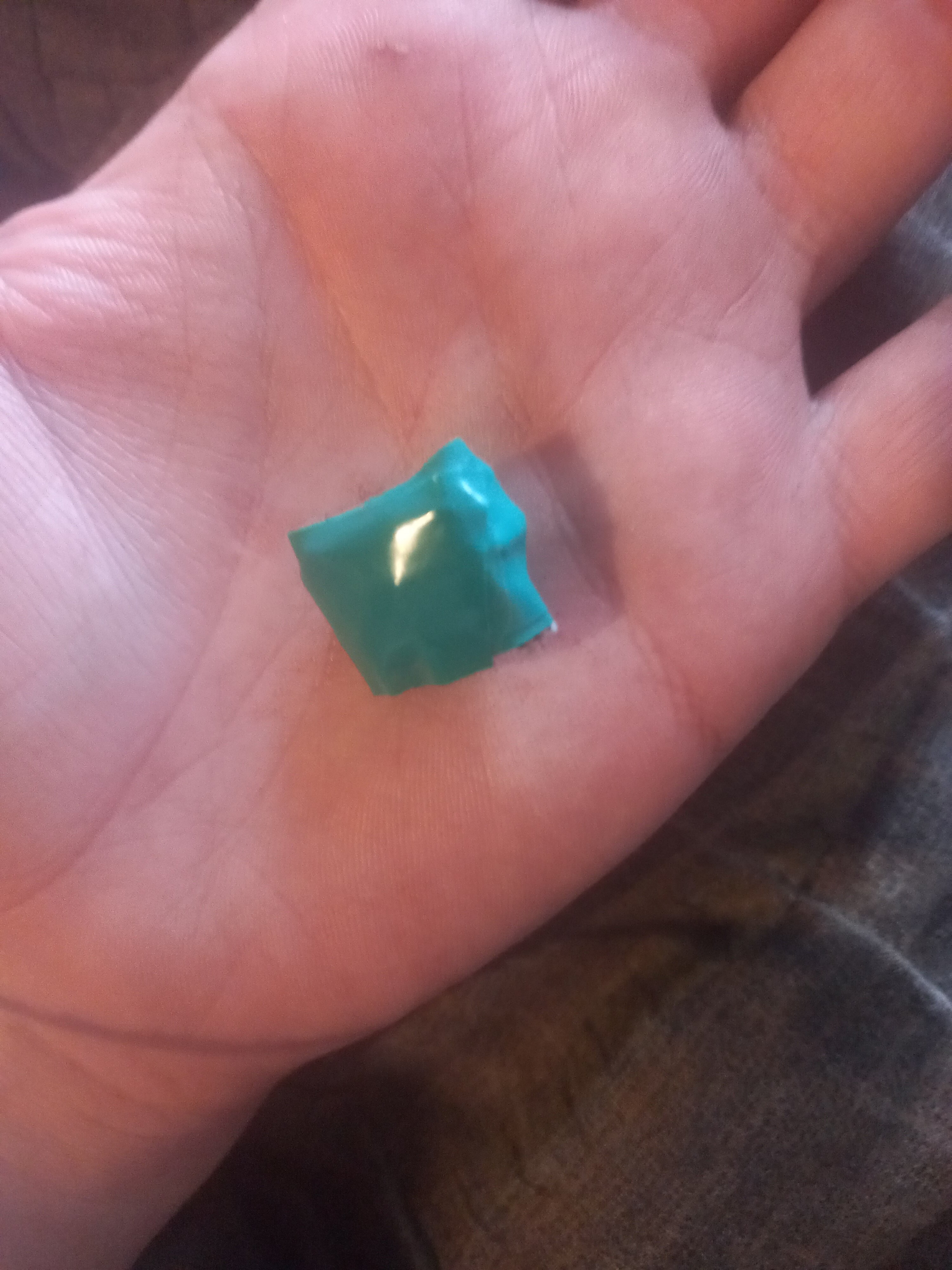 20220206_145921.jpg