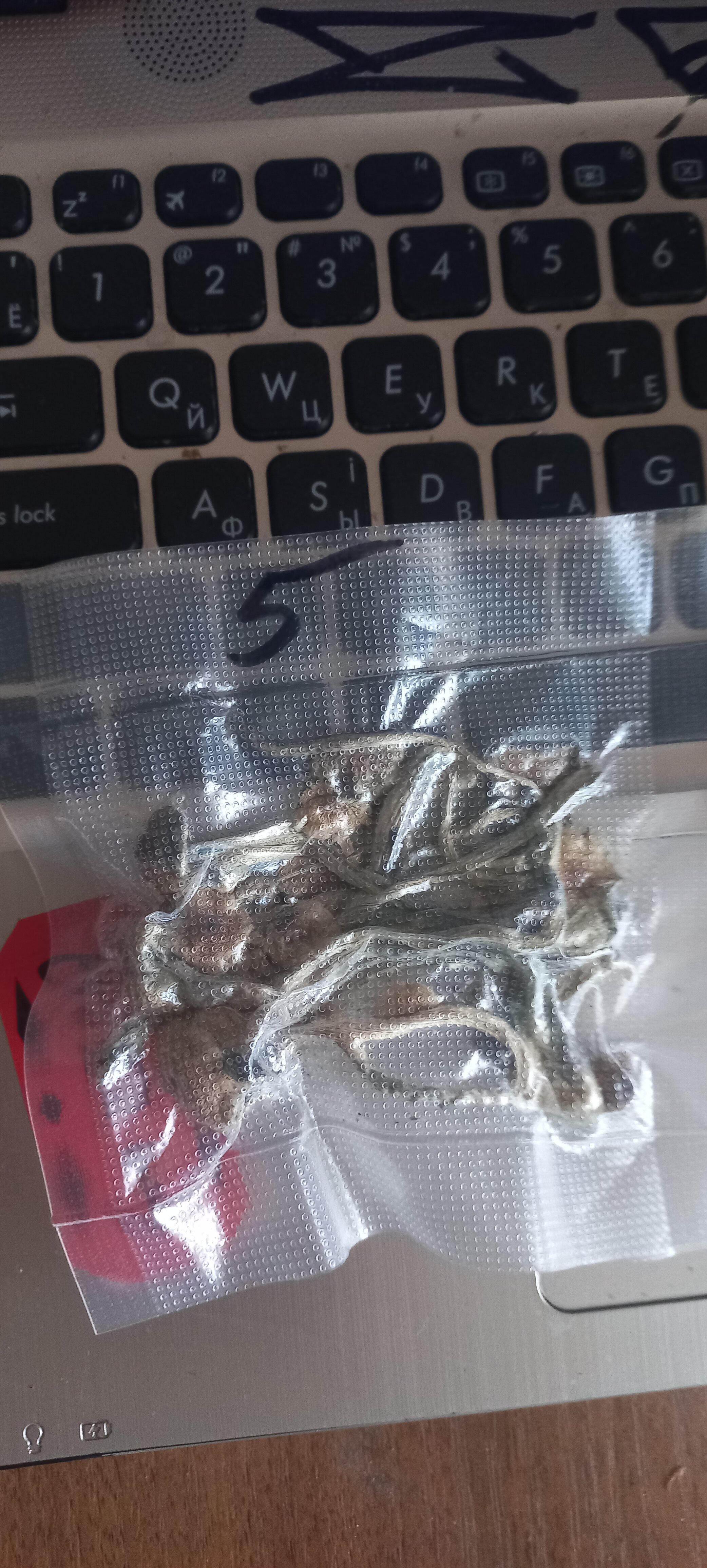 20220720_172141.jpg