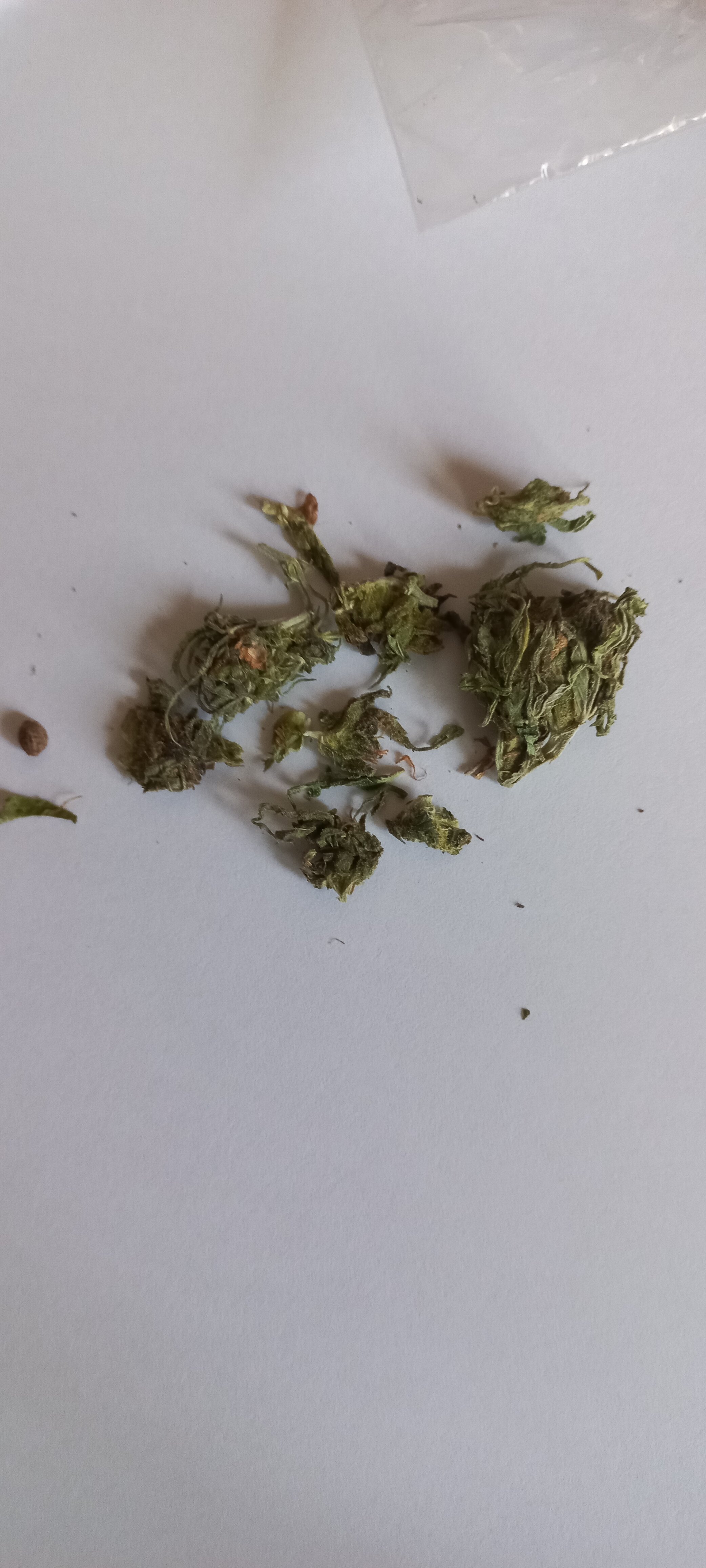 20220728_185117.jpg