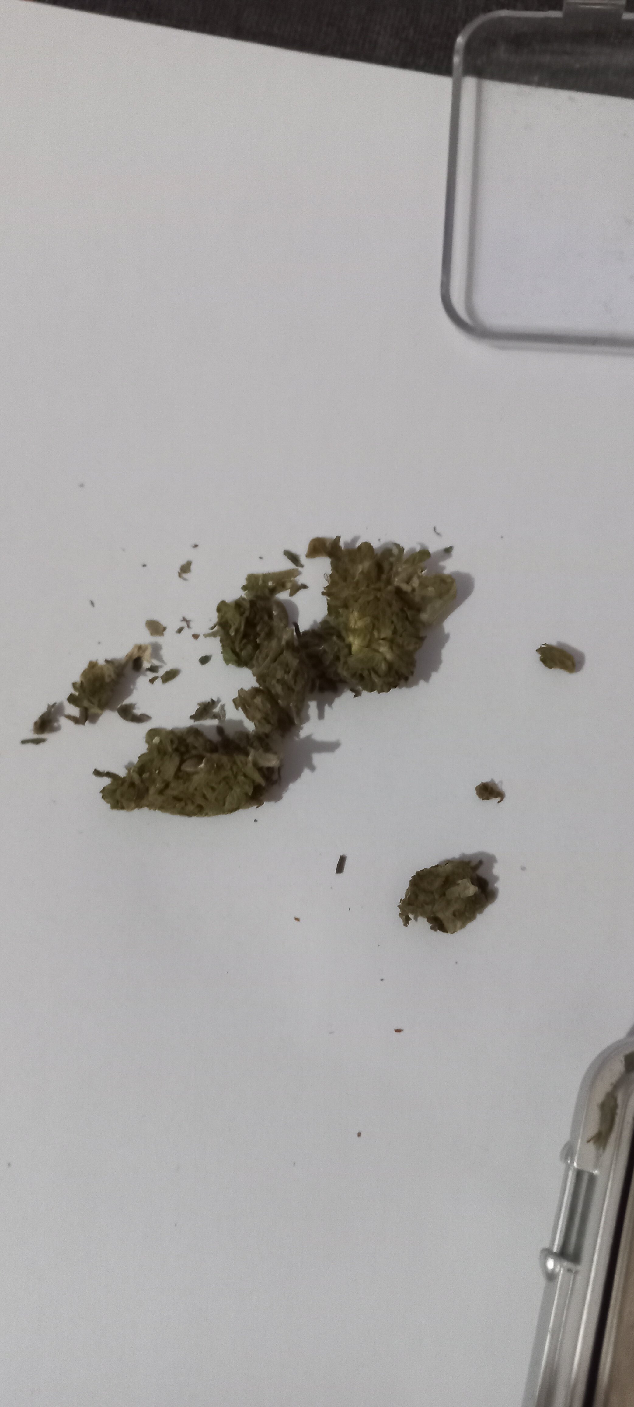20220729_223410.jpg