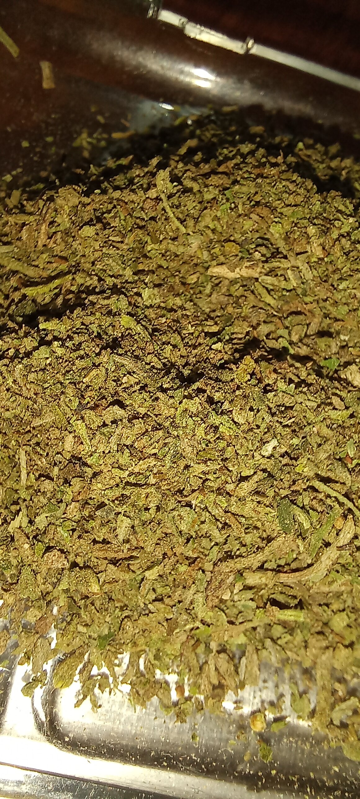 20221120_160256.jpg