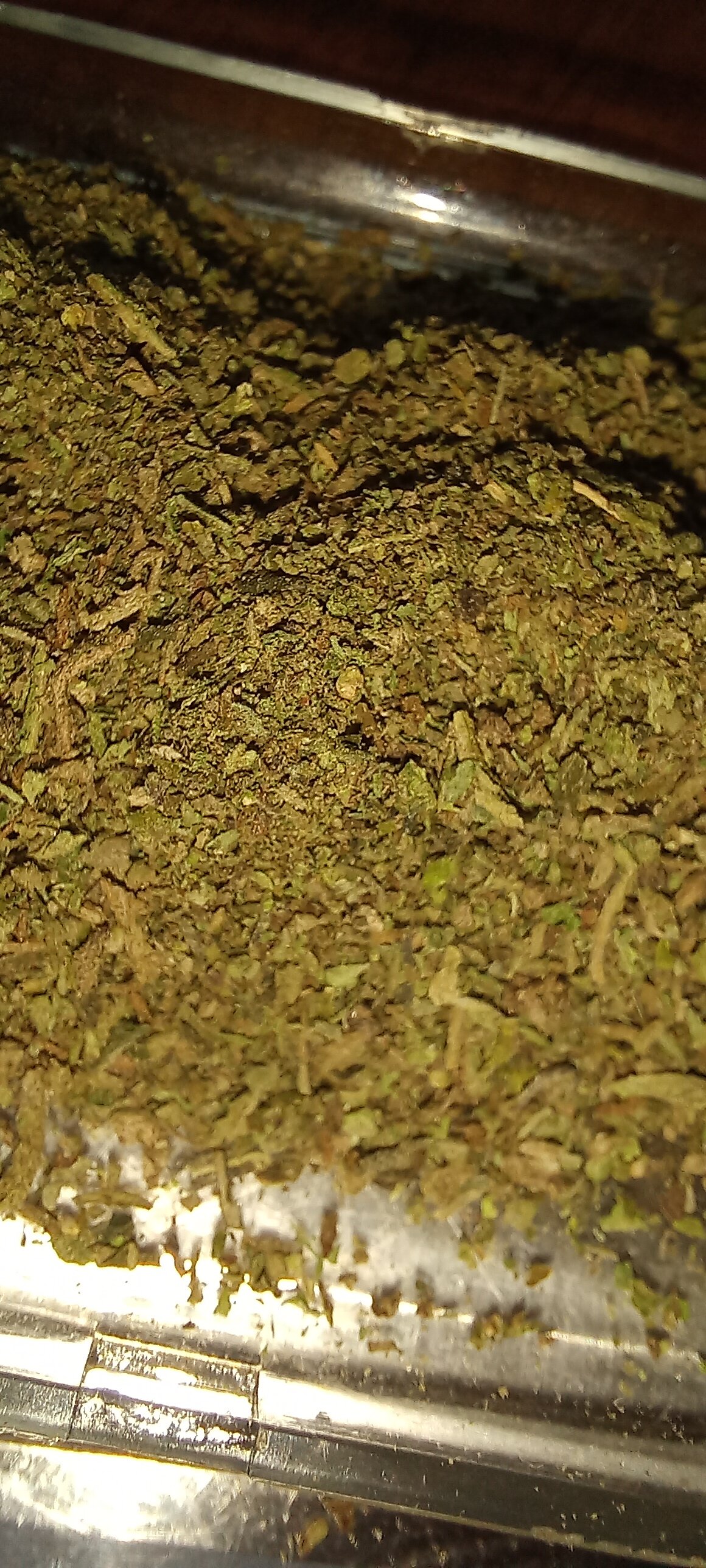 20221120_160257.jpg