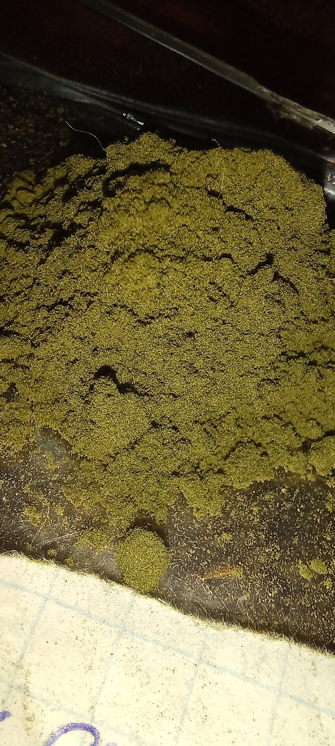 20221120_160652.jpg