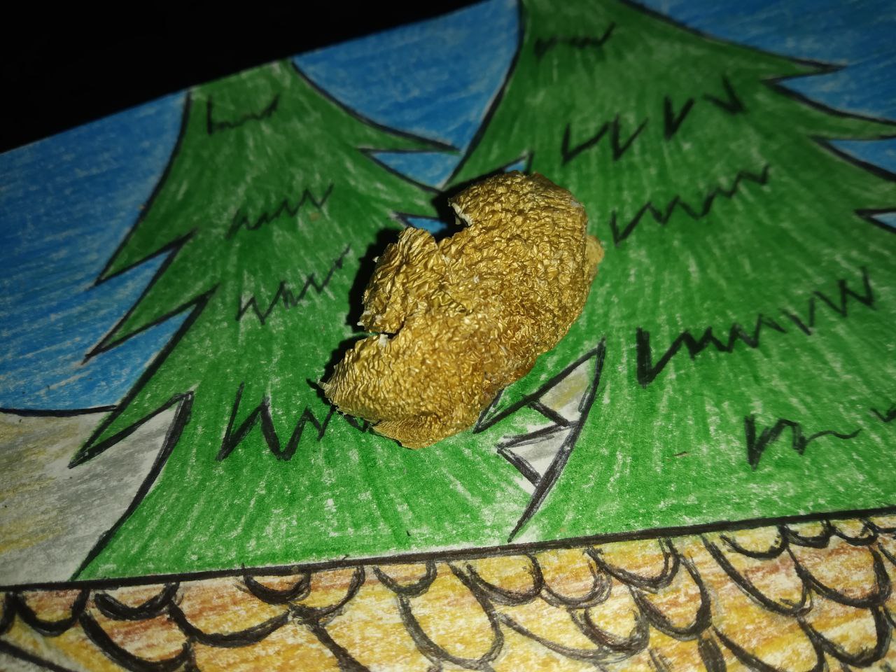 20230128_174303.jpg