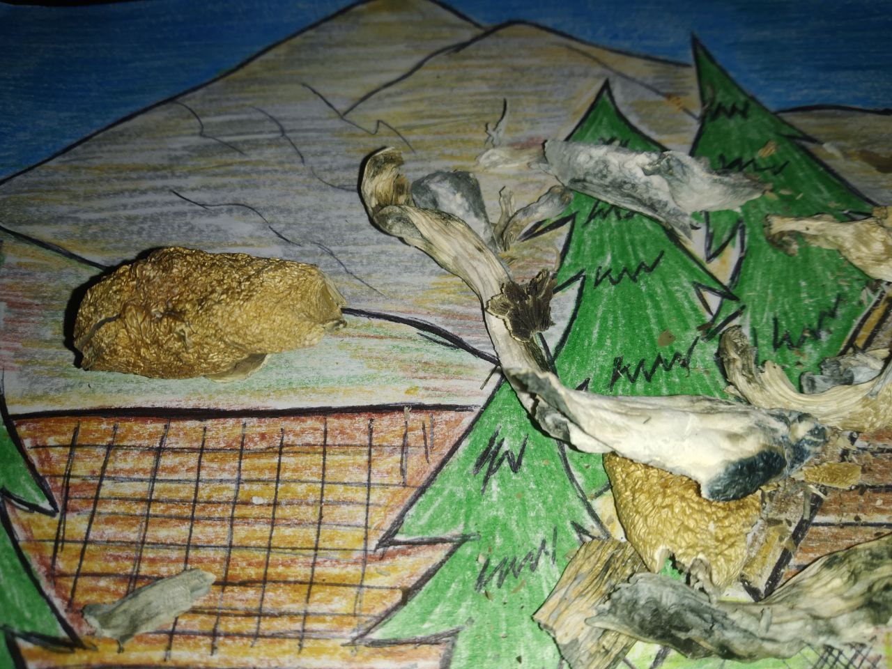 20230128_174305.jpg