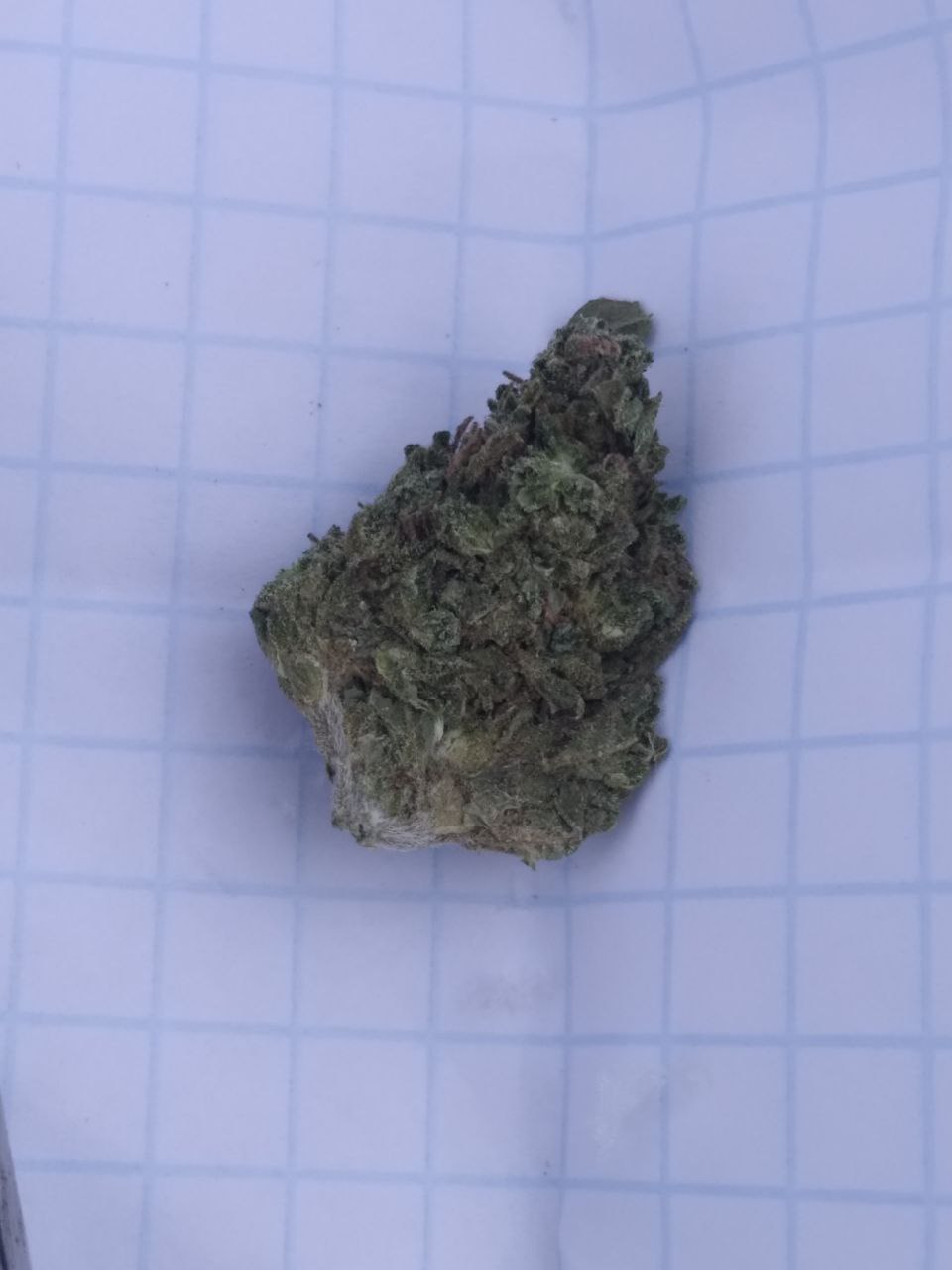 20230211_231934.jpg