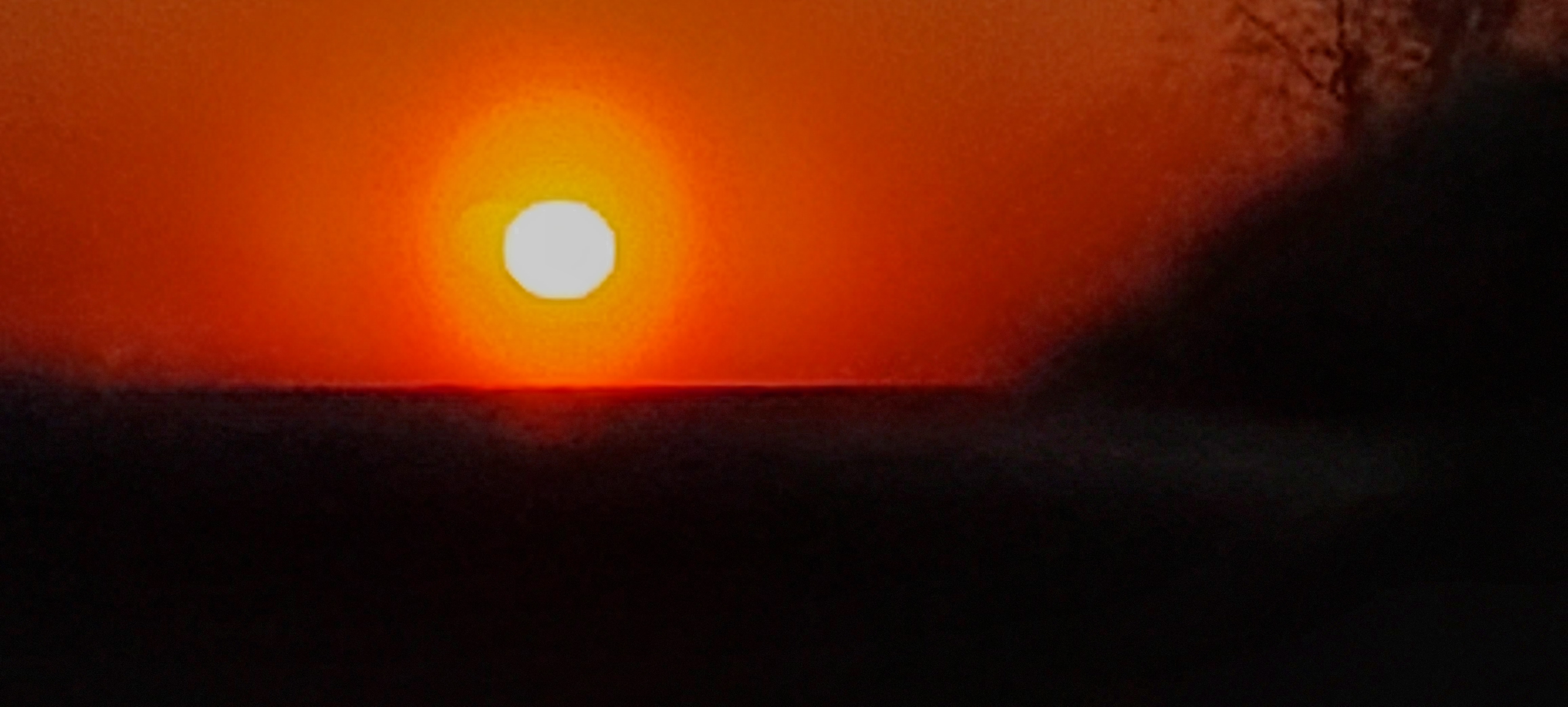20230521_205700.jpg