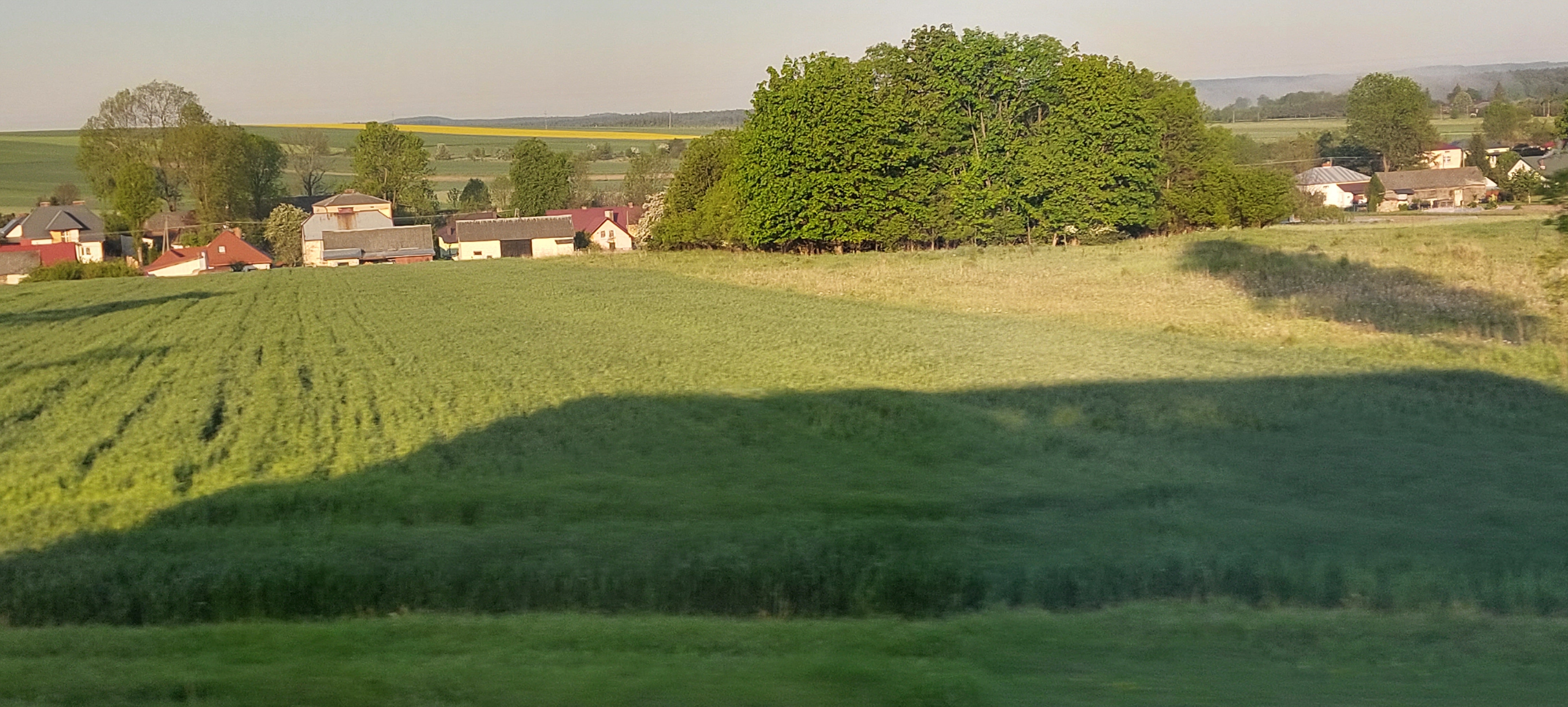 20230522_054823.jpg