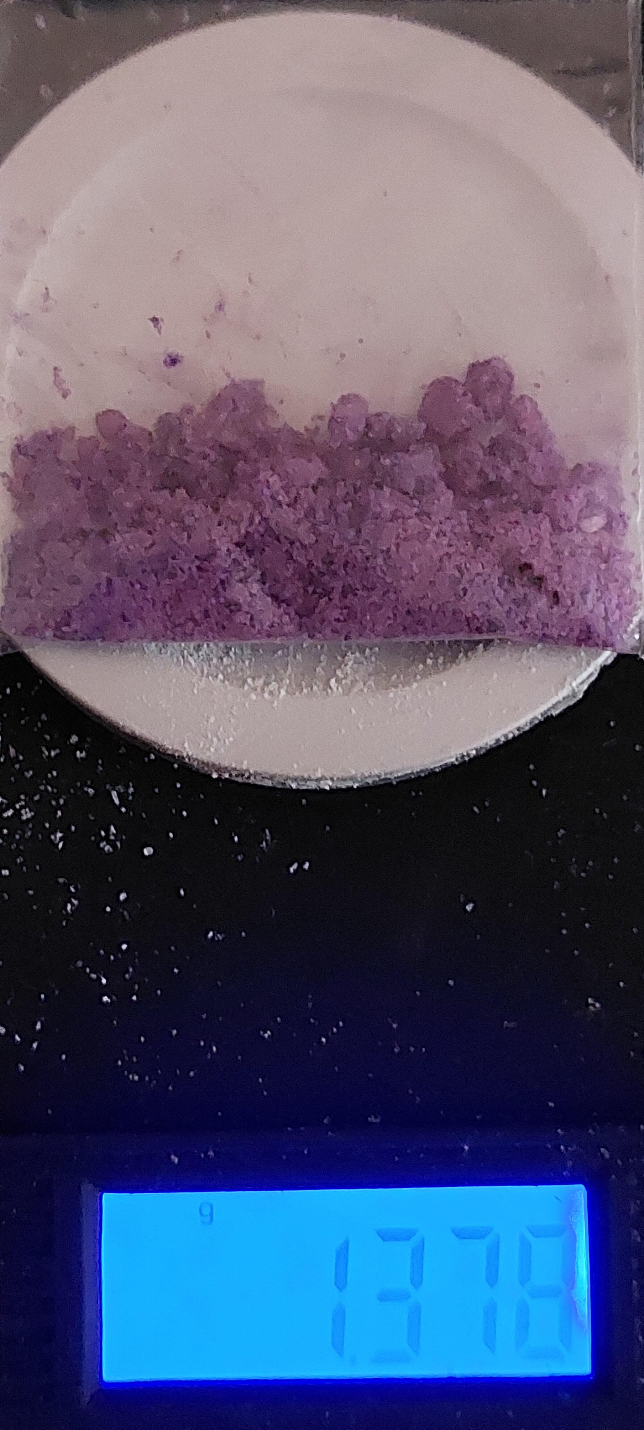 20230630_161440.jpg