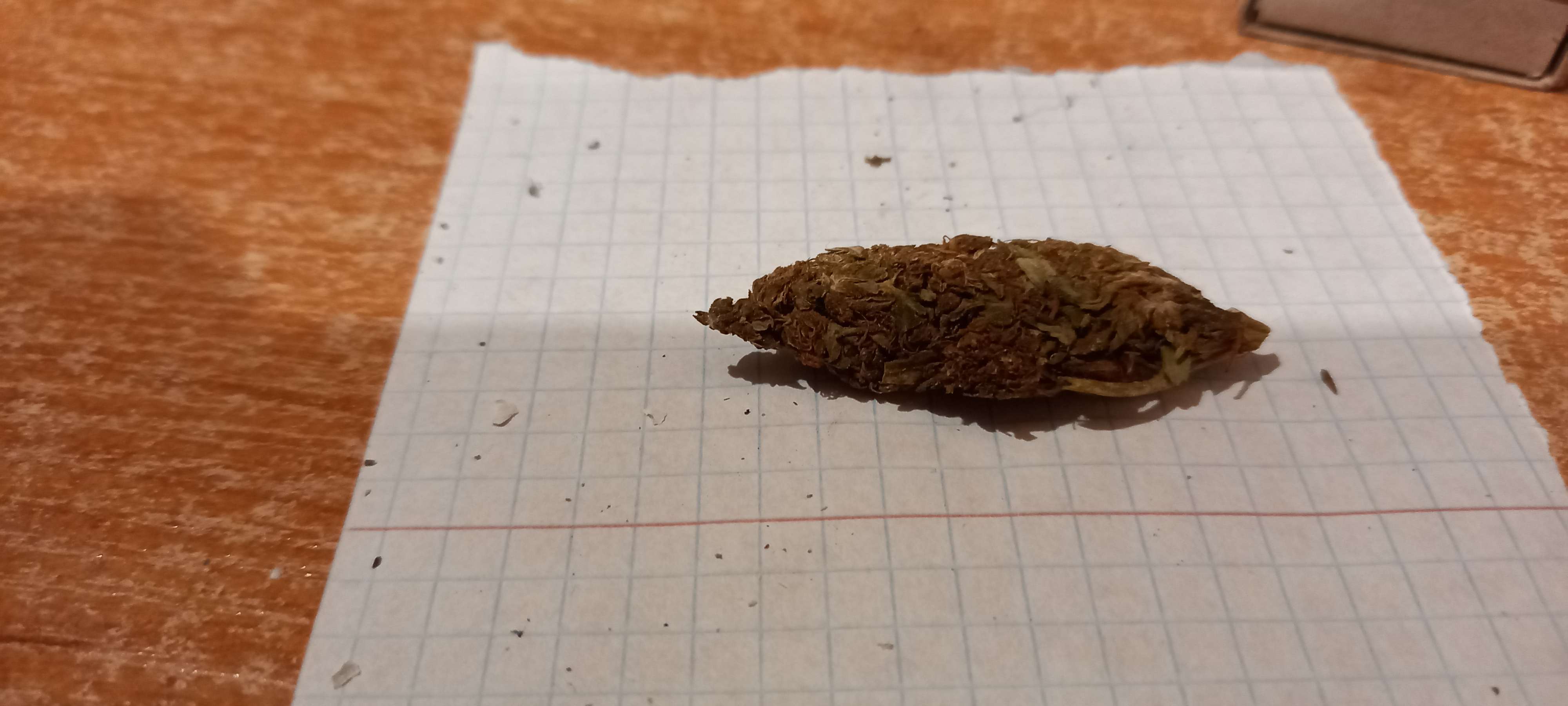 20230711_003219.jpg