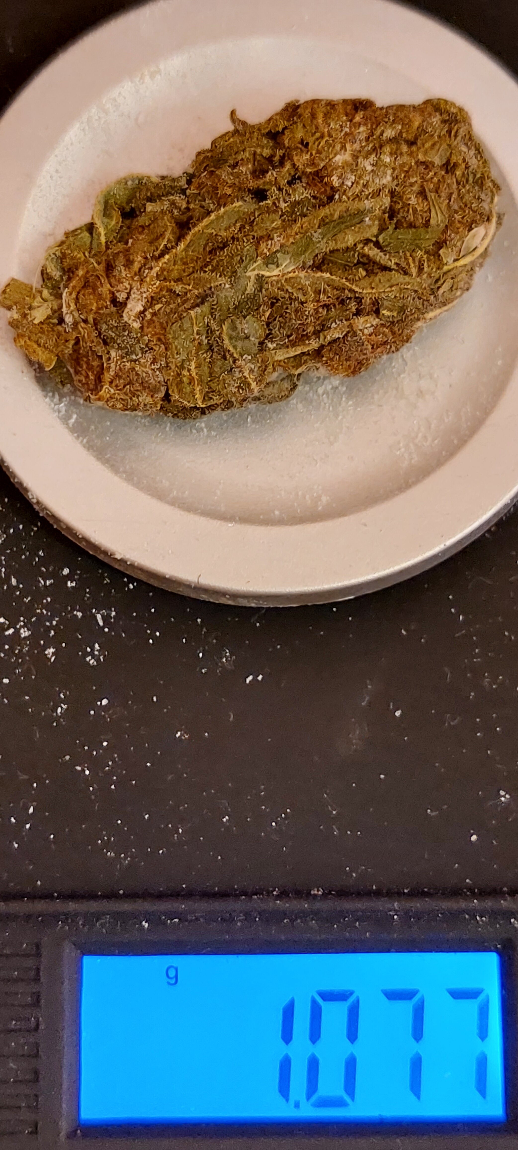 20230714_140011.jpg