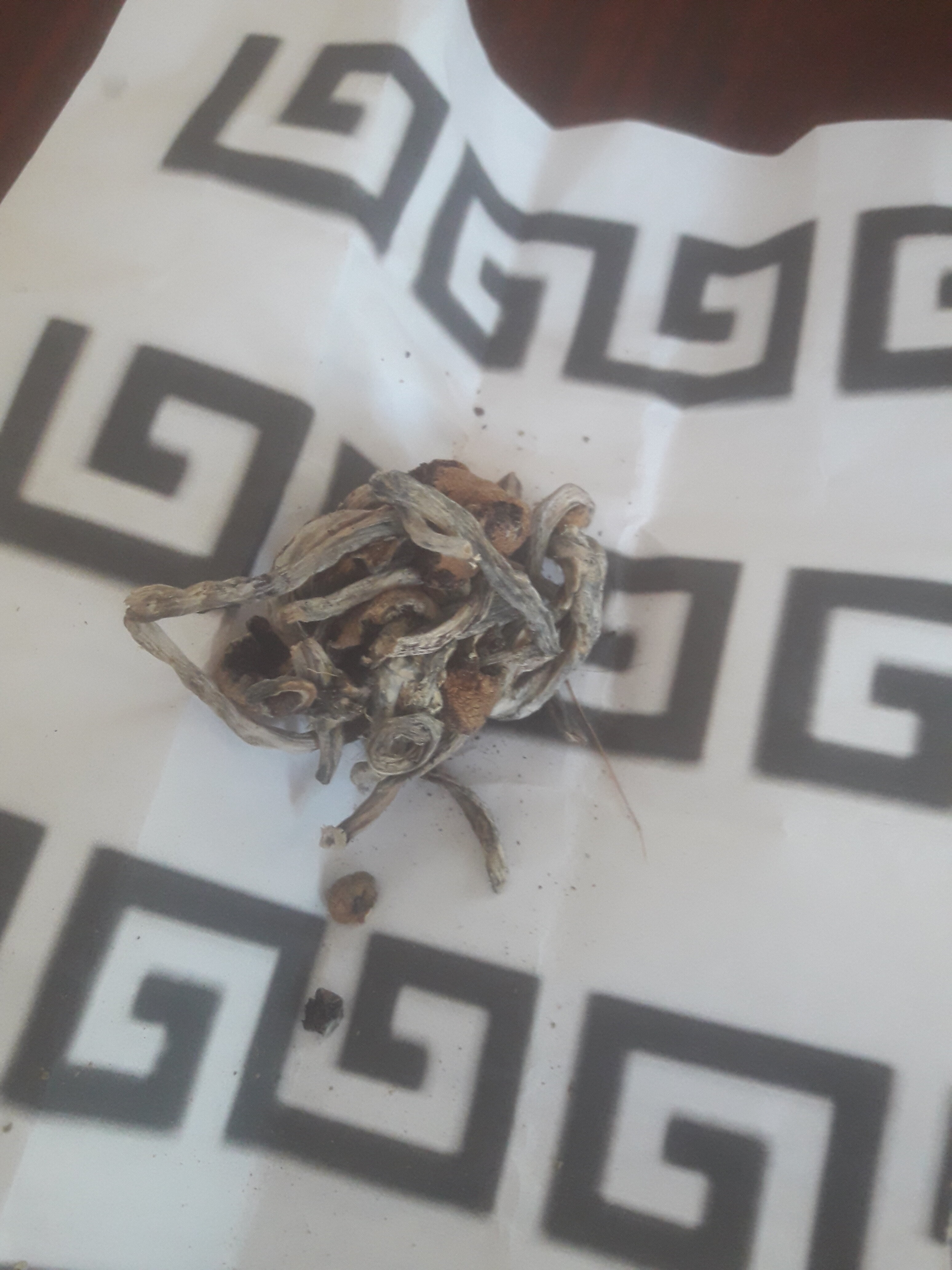 20230717_180939.jpg