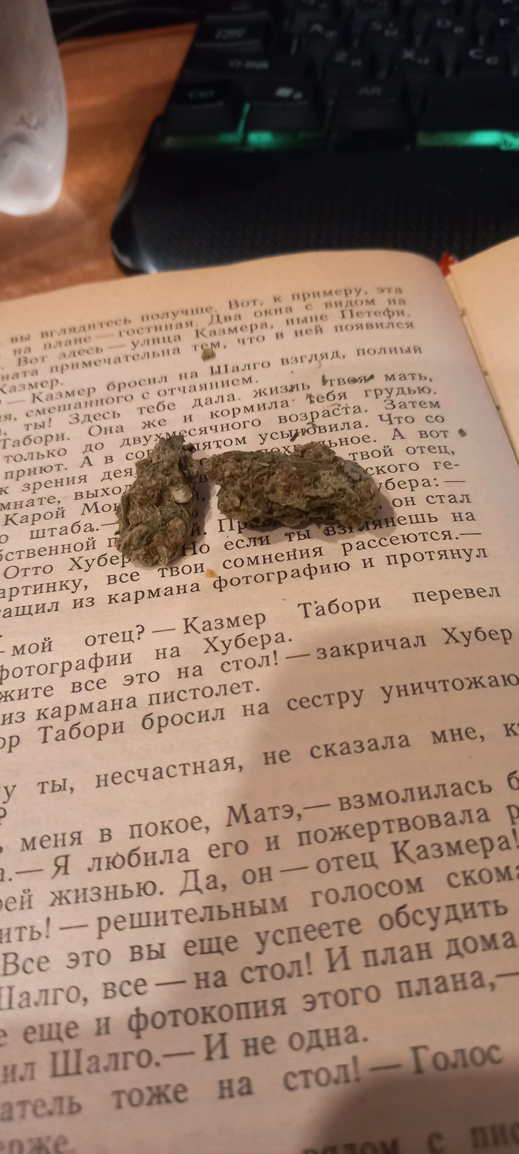 20231003_213235.jpg
