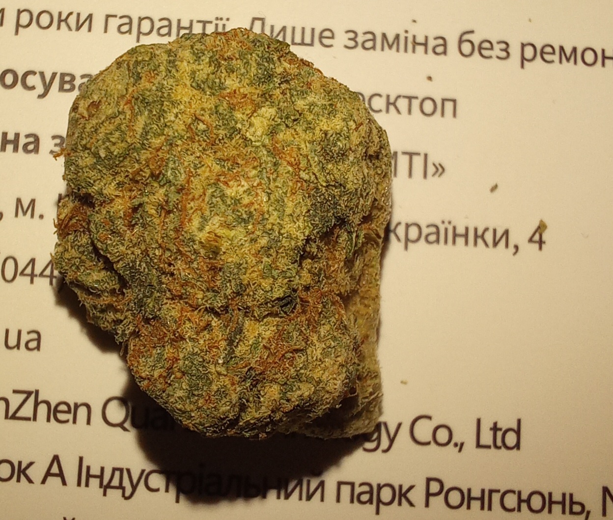 20240206_222237.jpg