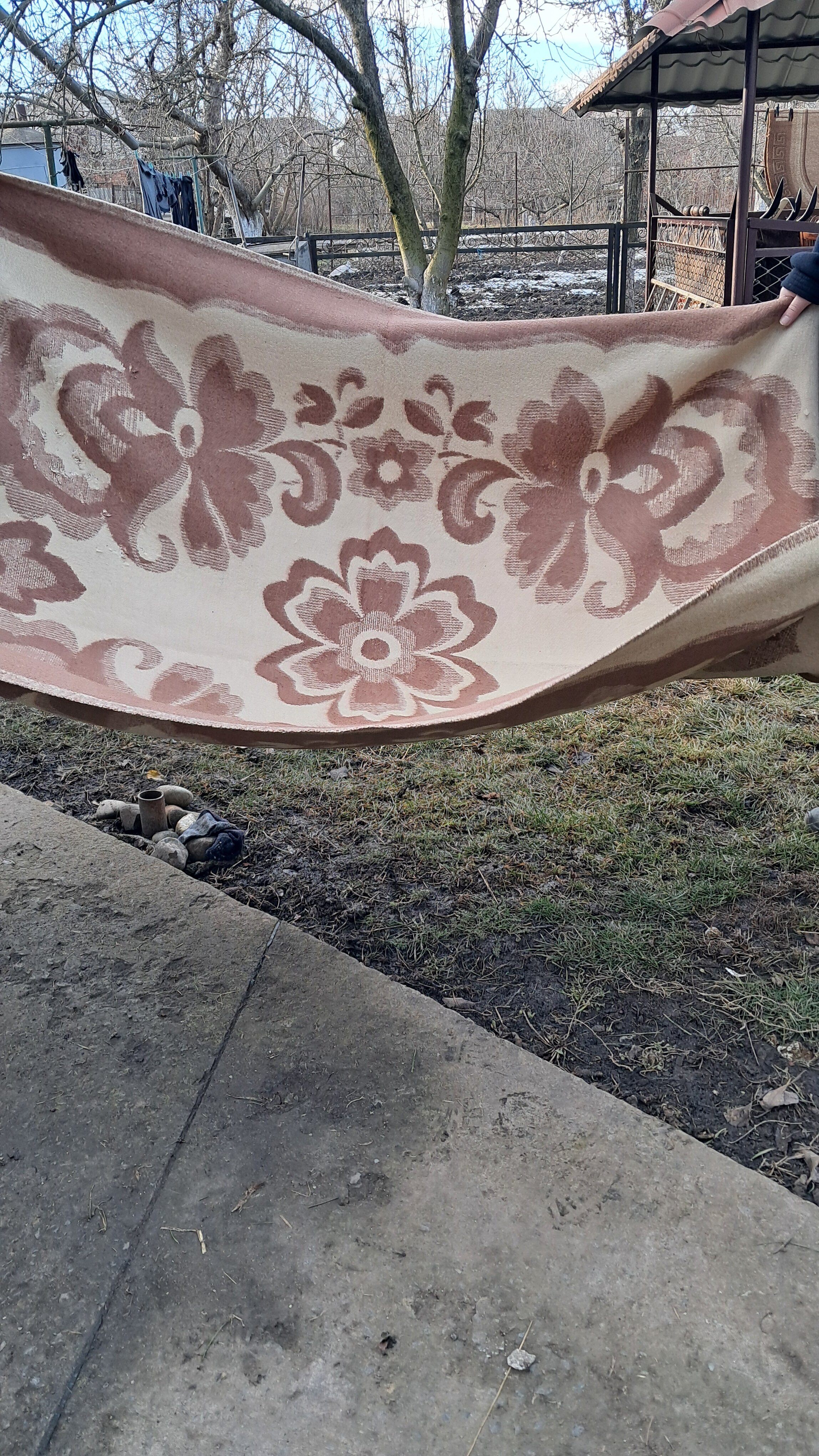 20250117_105546.jpg