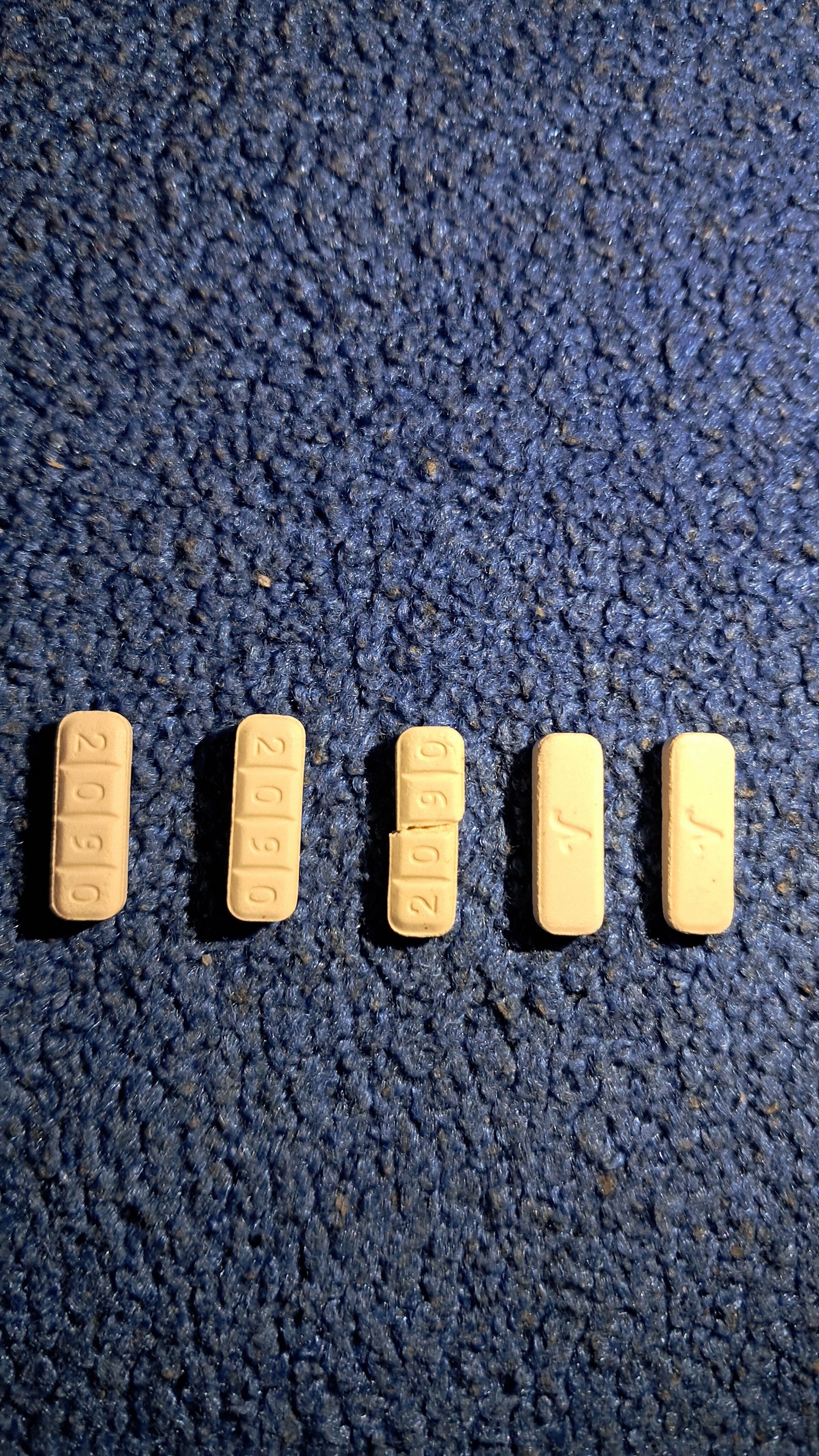 20250205_134120.jpg