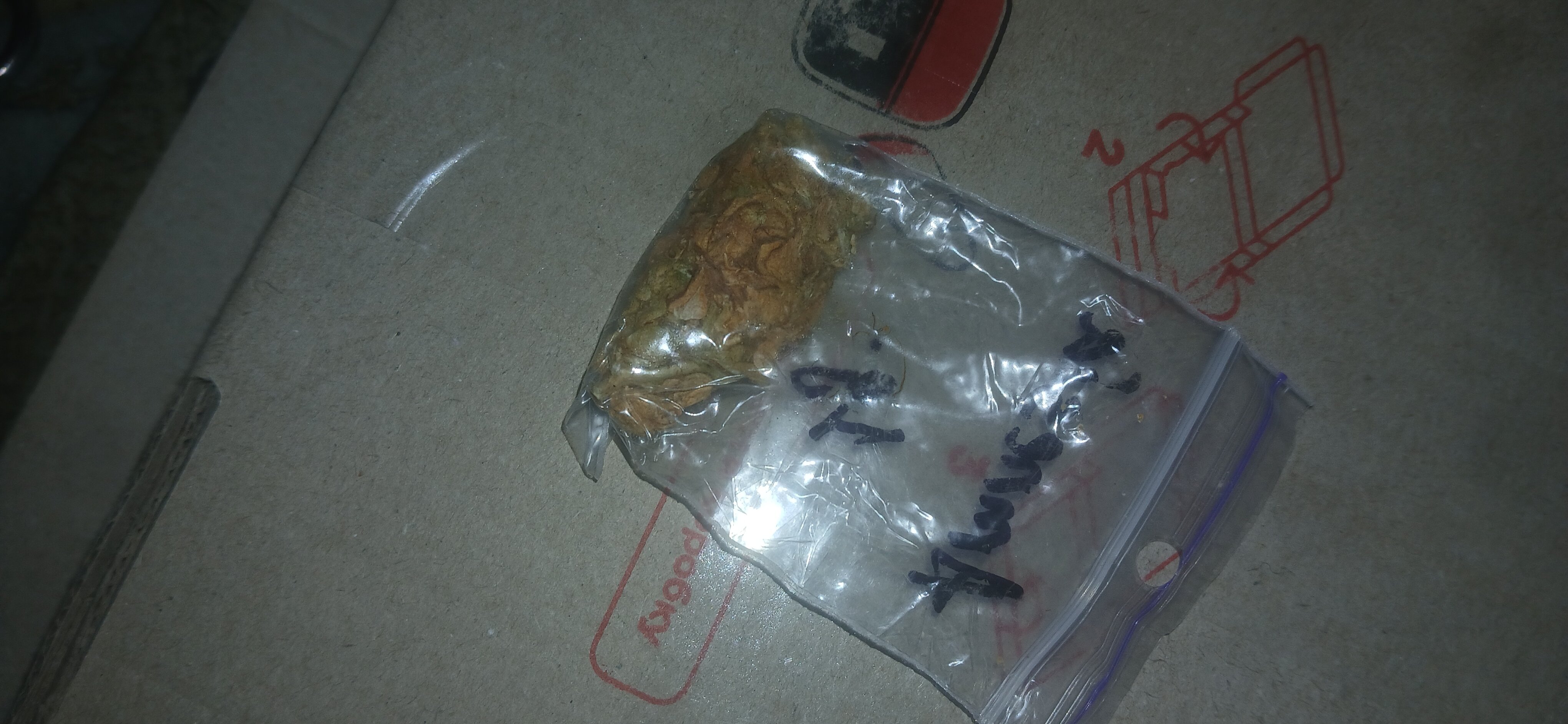 20250224_150038.jpg