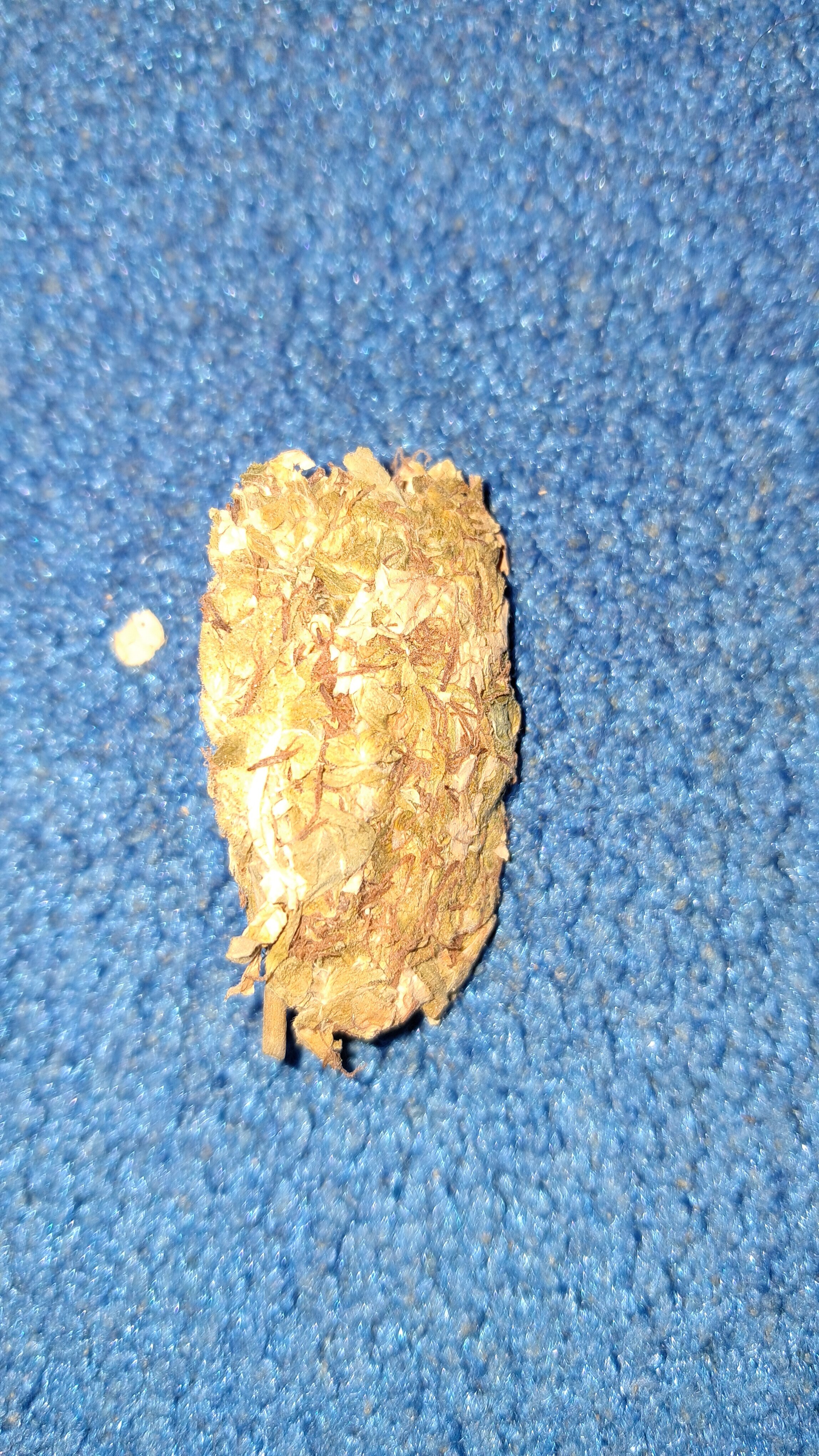 20250226_224340.jpg