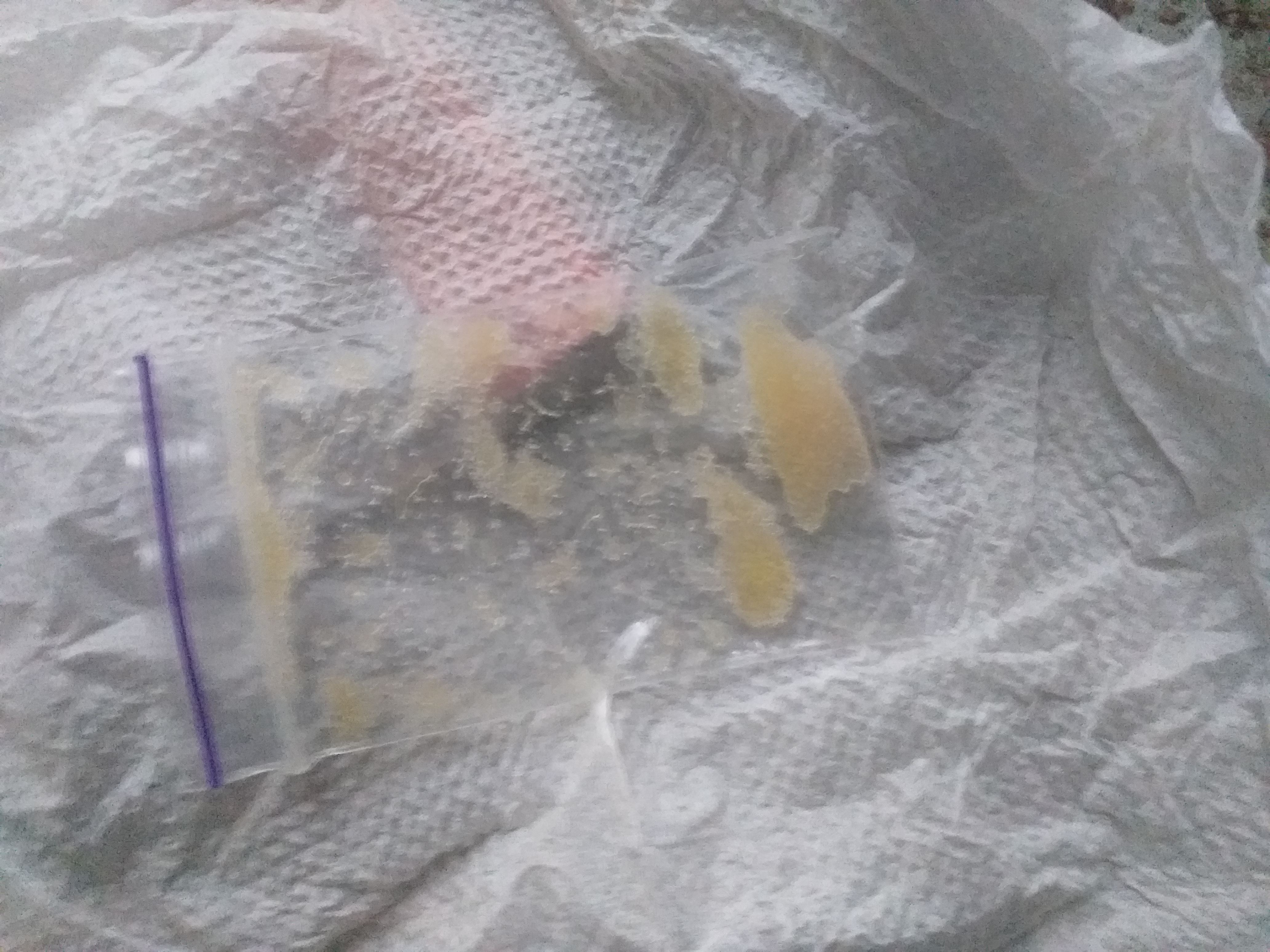 20250527_193015.jpg