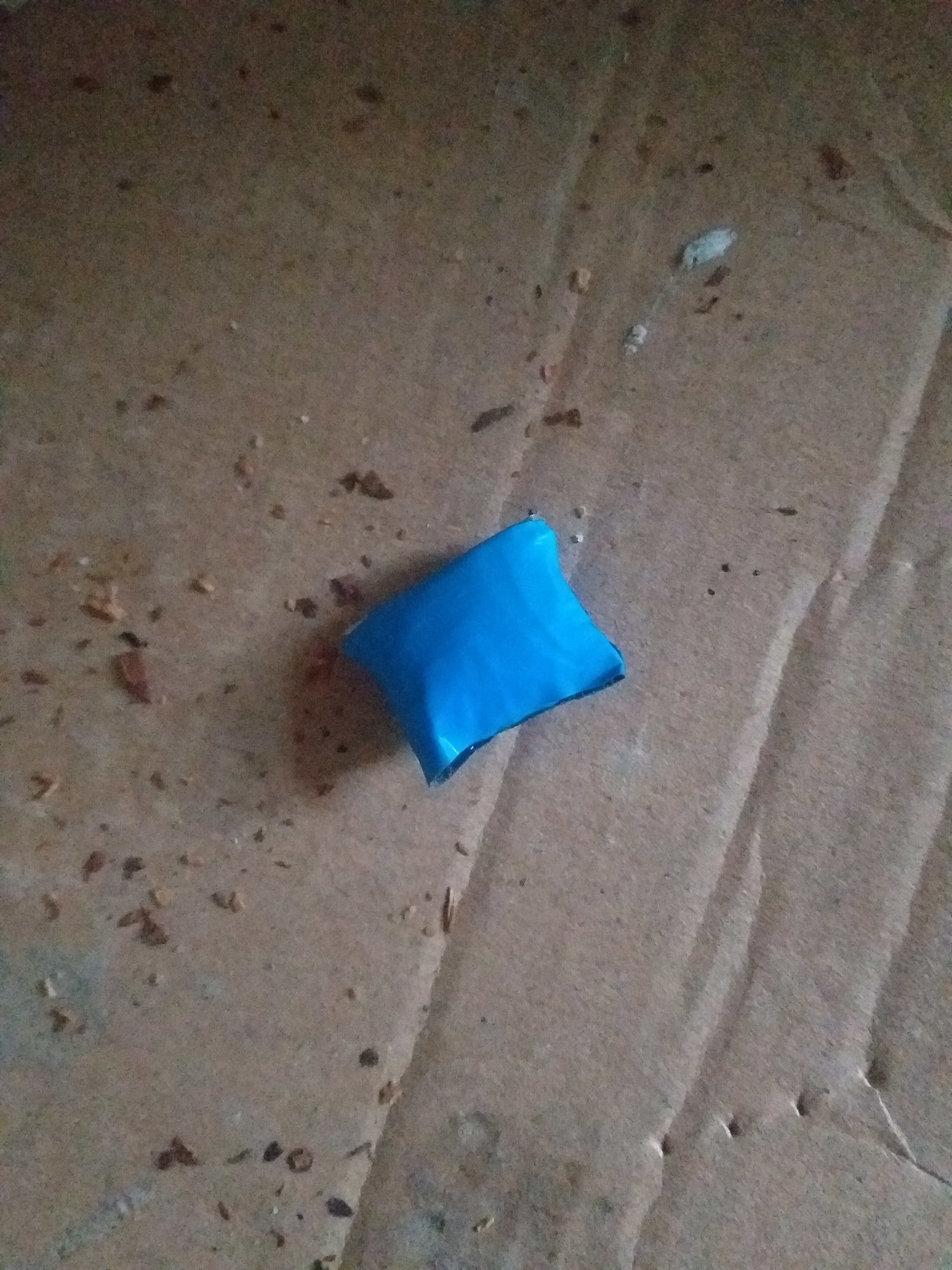 20250715_192230.jpg