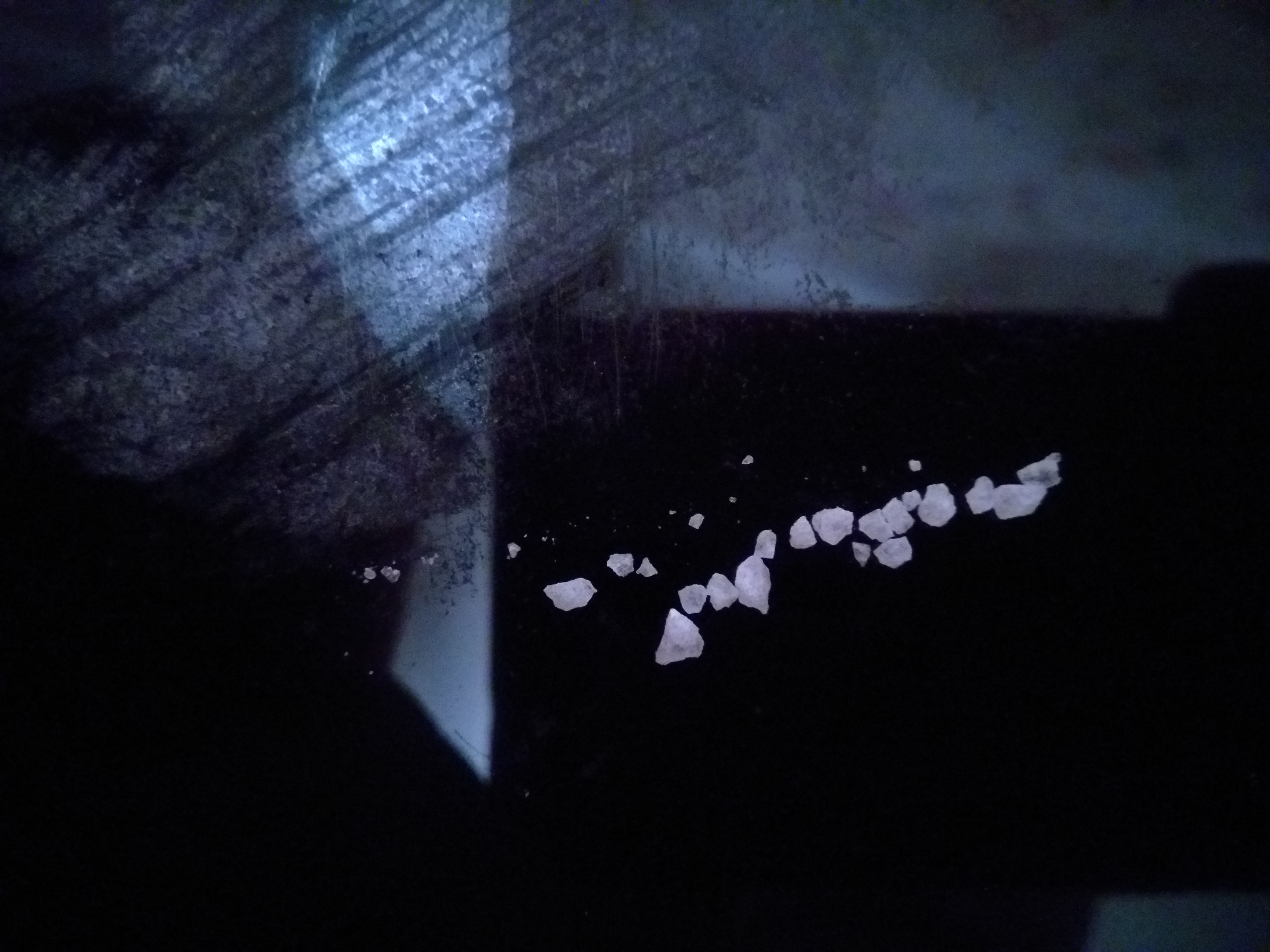 30707
