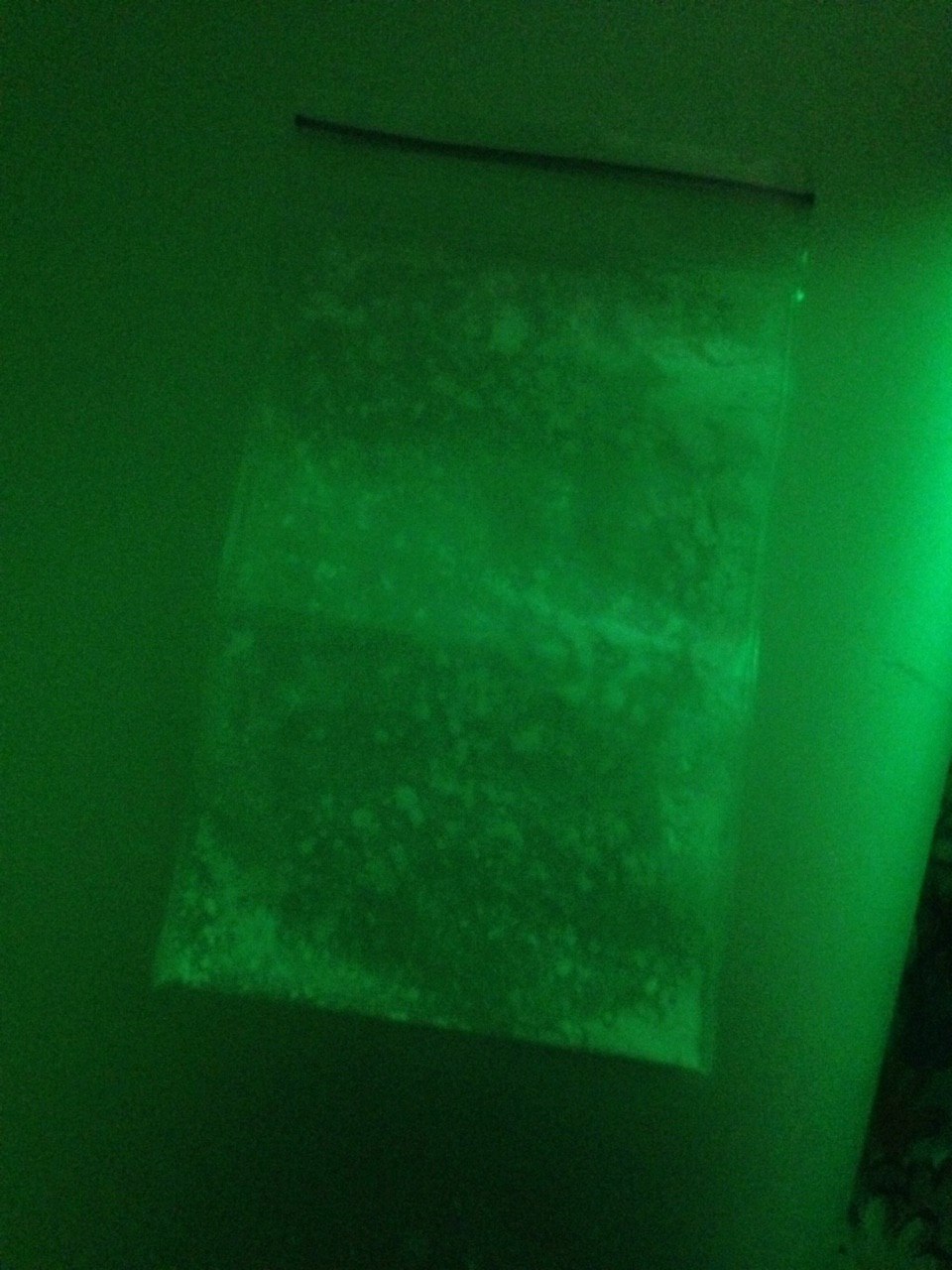 30BD4B66-1AE1-499F-A636-B6E156F32504.jpeg