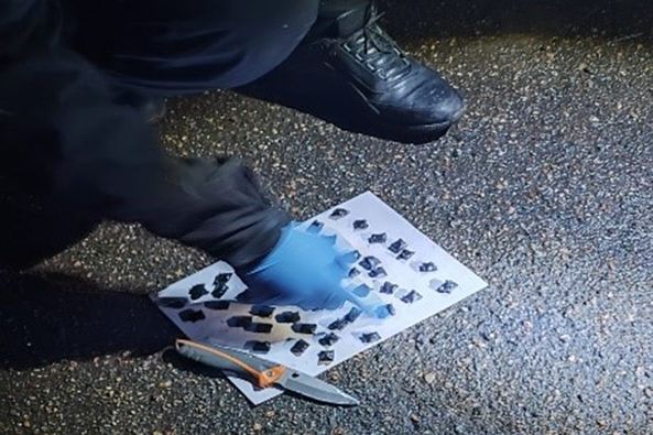 337157475_1010869873225415_4598504080359789978_n.jpg