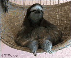 33U9.gif